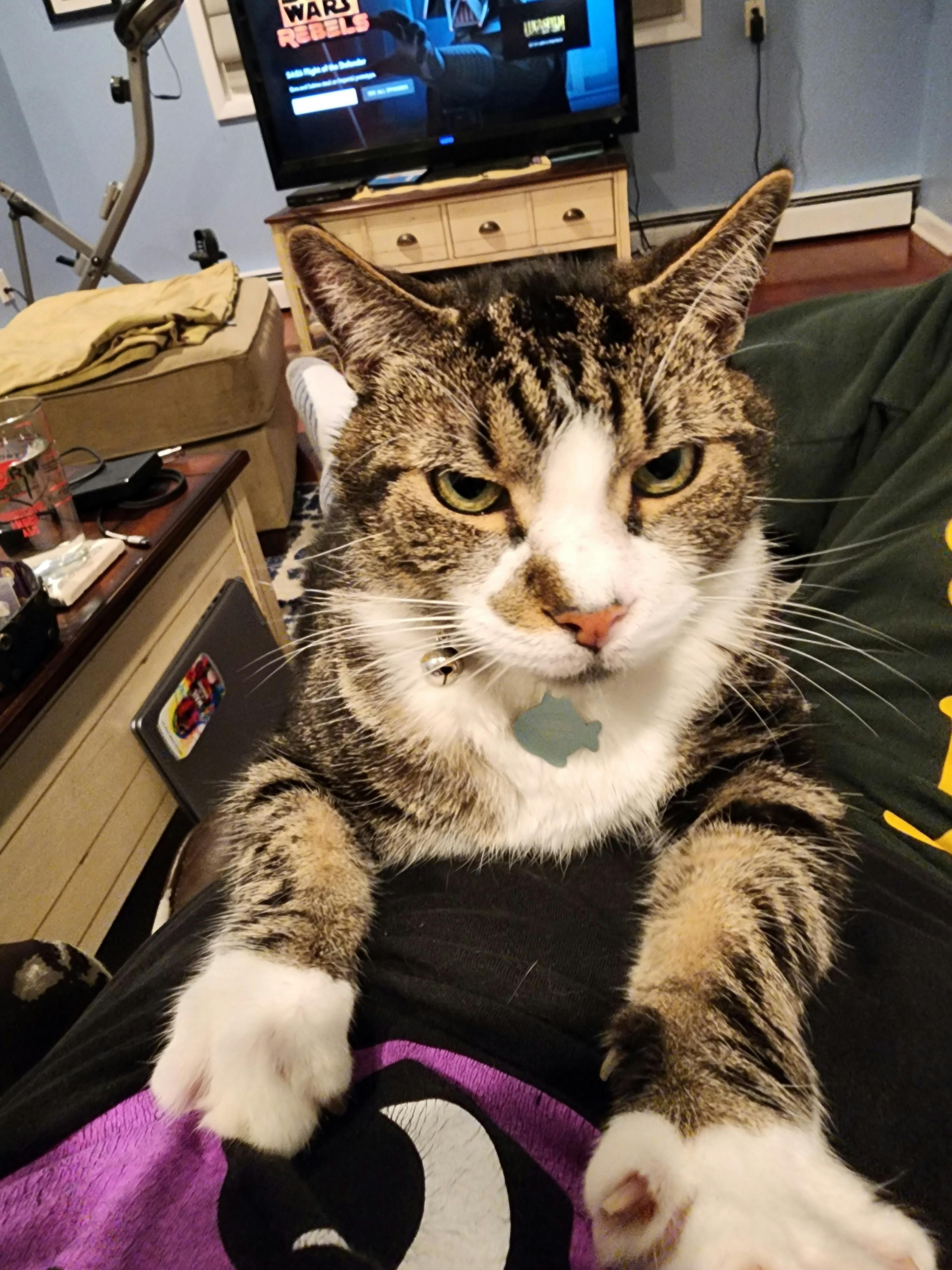 user avatar image for Jake R Redin