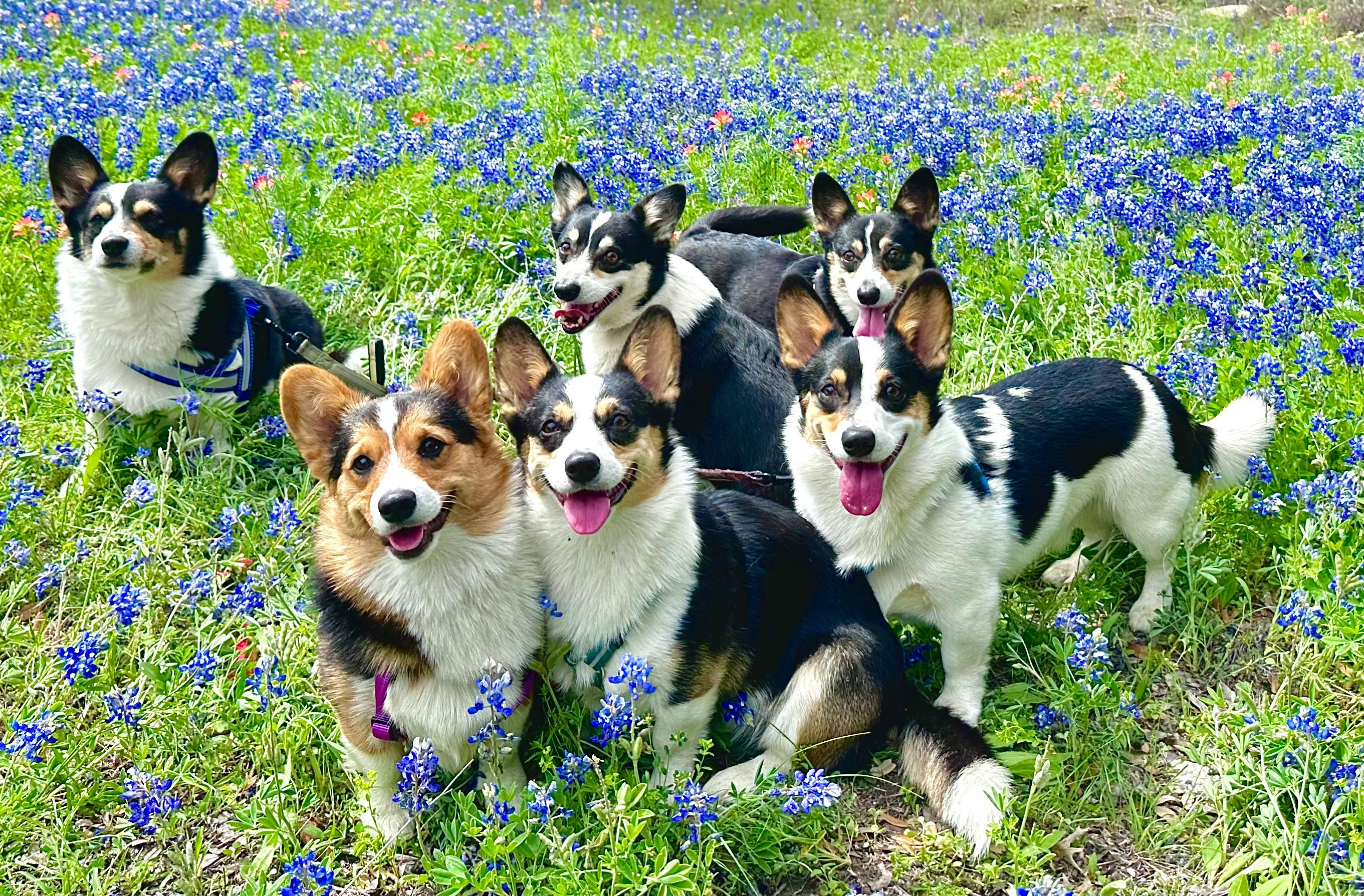 user avatar image for Maia Howard