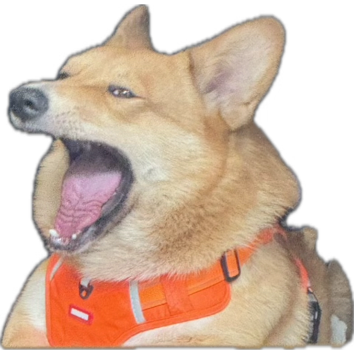 user avatar image for Alaeva