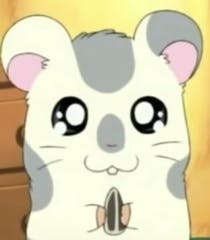 user avatar image for SpaceCowboy