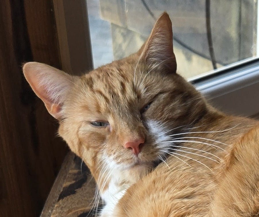 user avatar image for Maria Smith