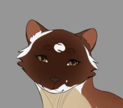 user avatar image for Shmowl