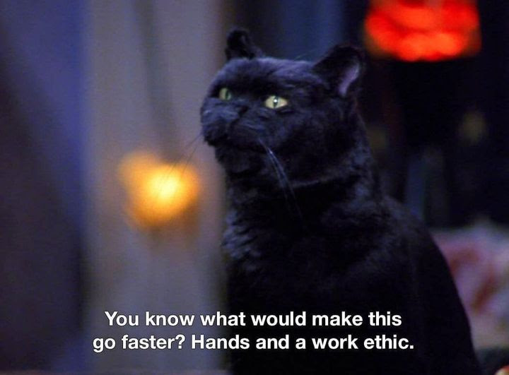 user avatar image for Chaos_Kitty