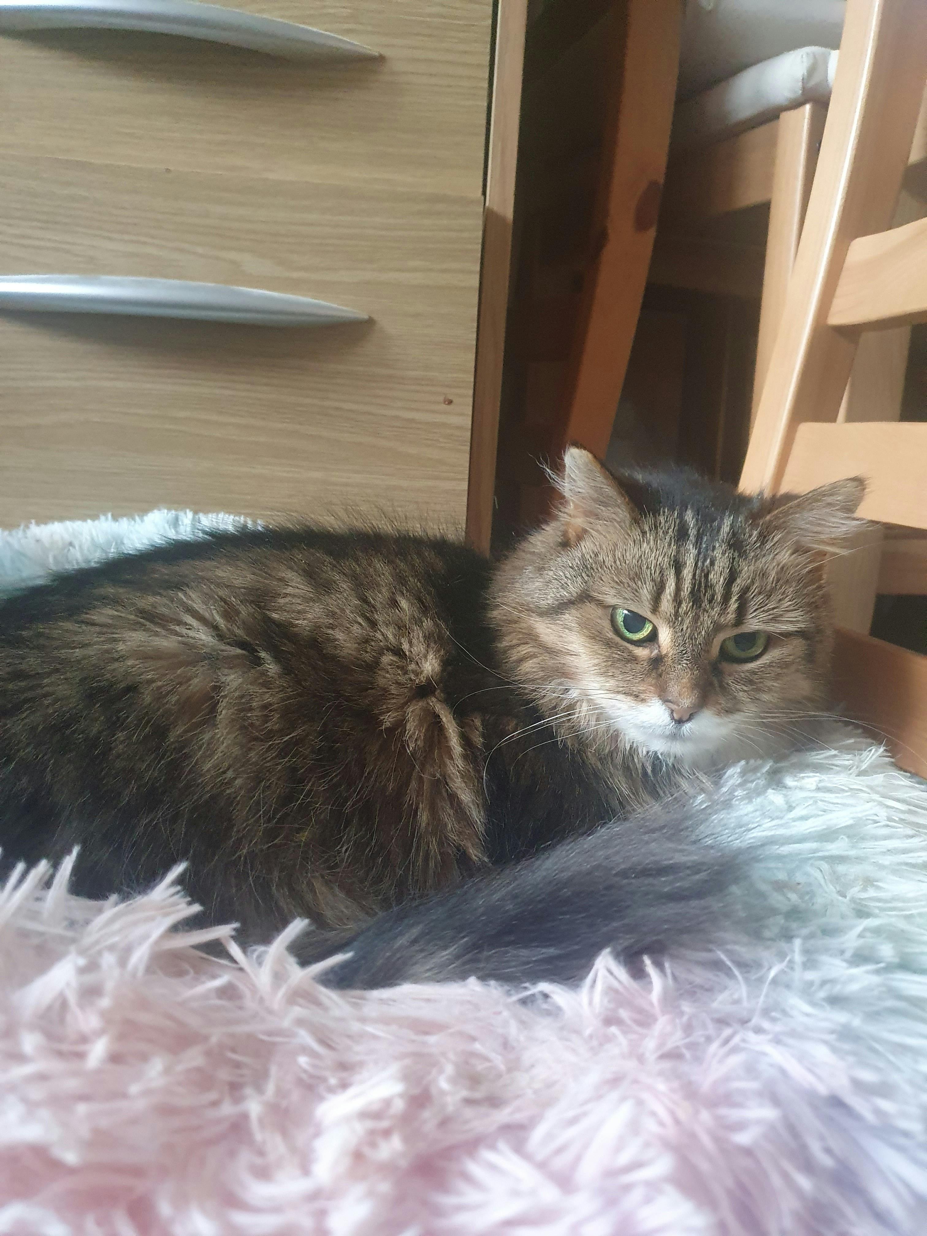 user avatar image for Lorna