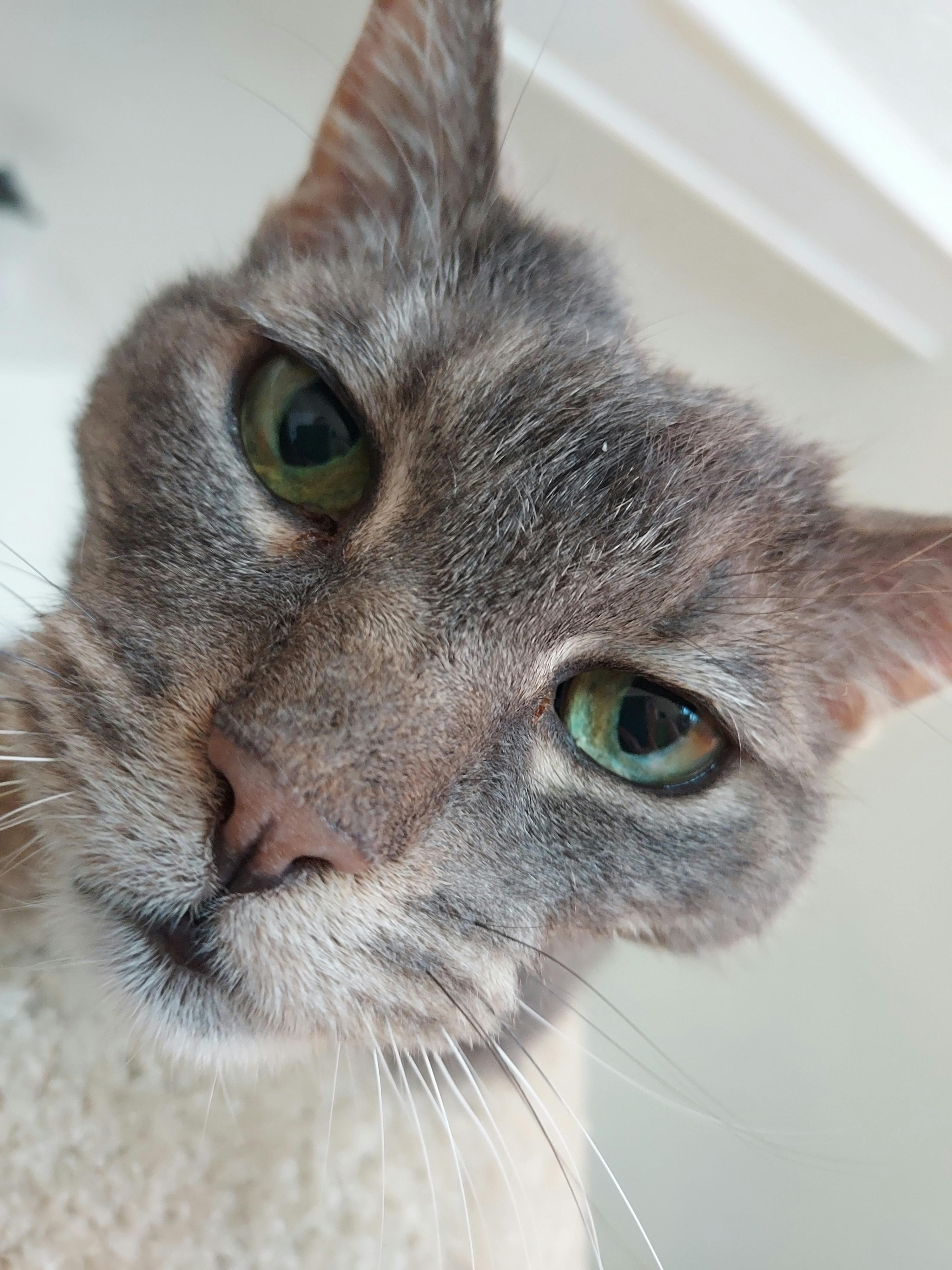 user avatar image for Miranda H