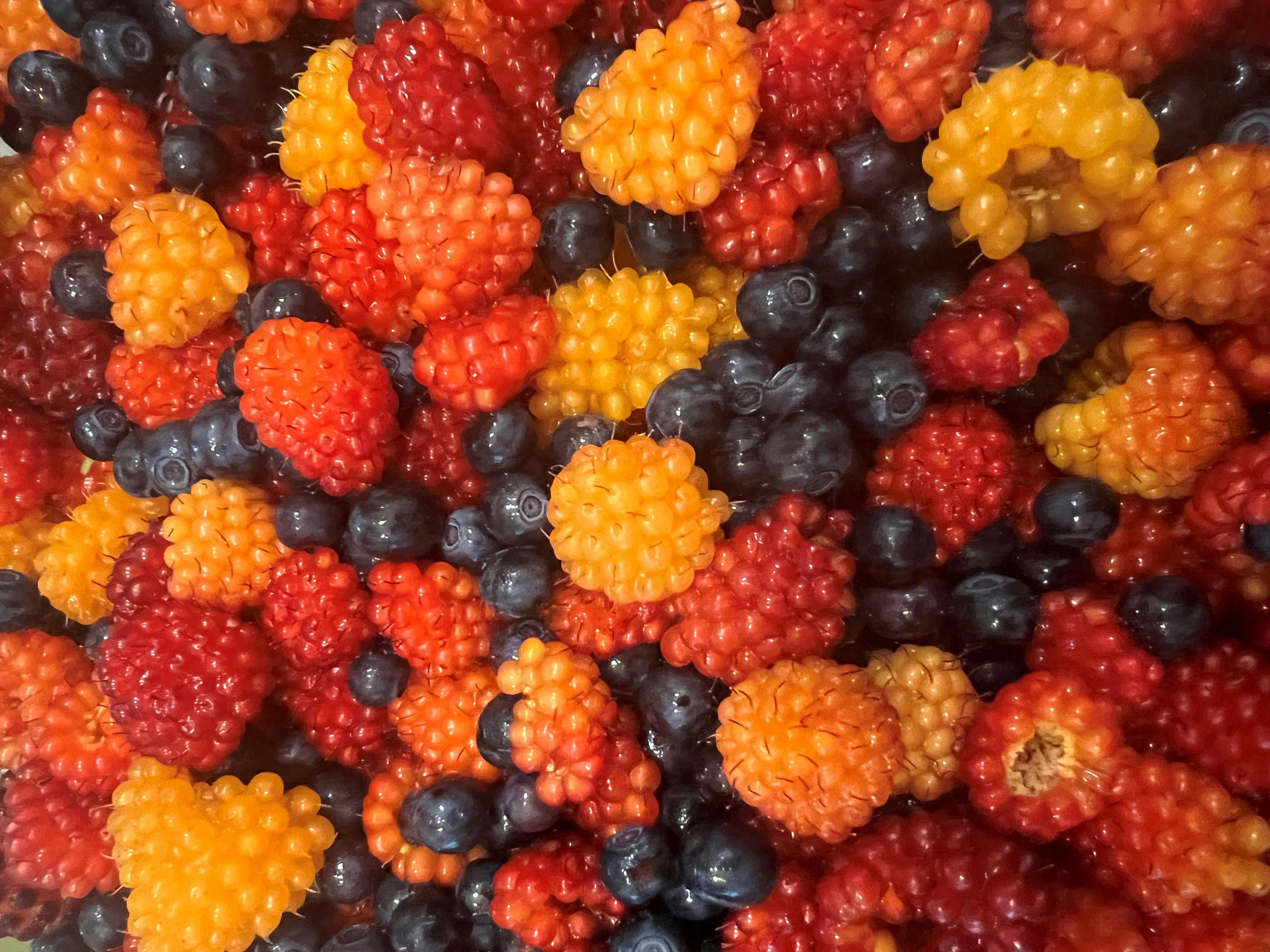 user avatar image for Kalishu