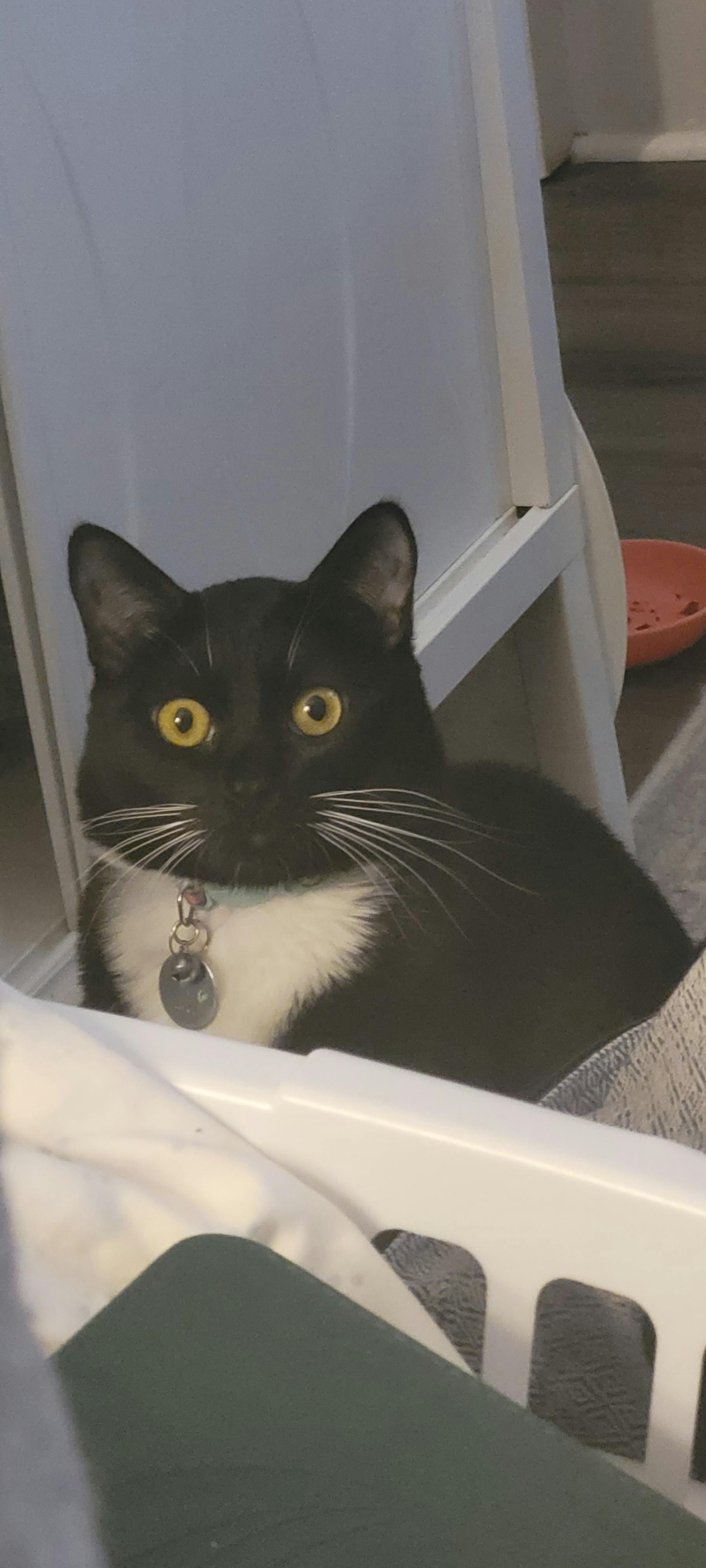 user avatar image for Adam Hebert