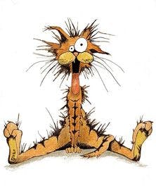 user avatar image for Zaphodfromspace