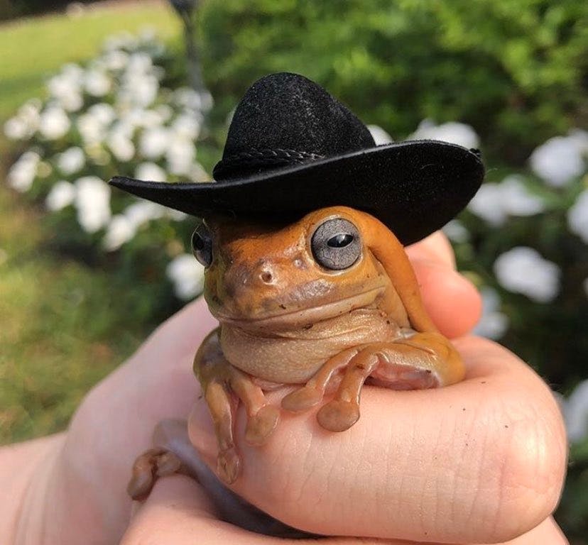 user avatar image for Tabsris