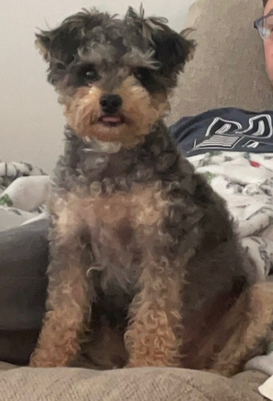 user avatar image for Tikimancer