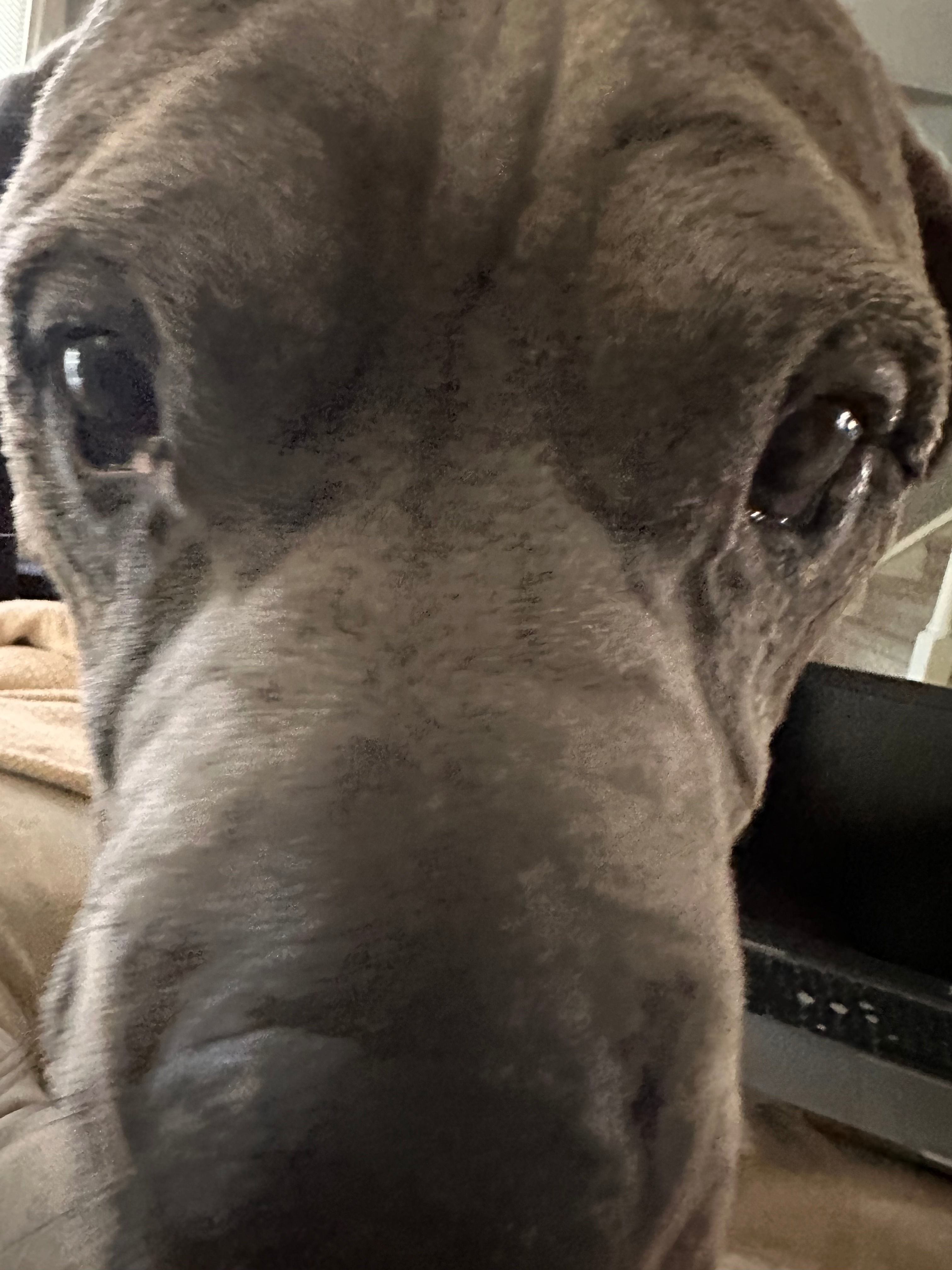 user avatar image for Mike Young