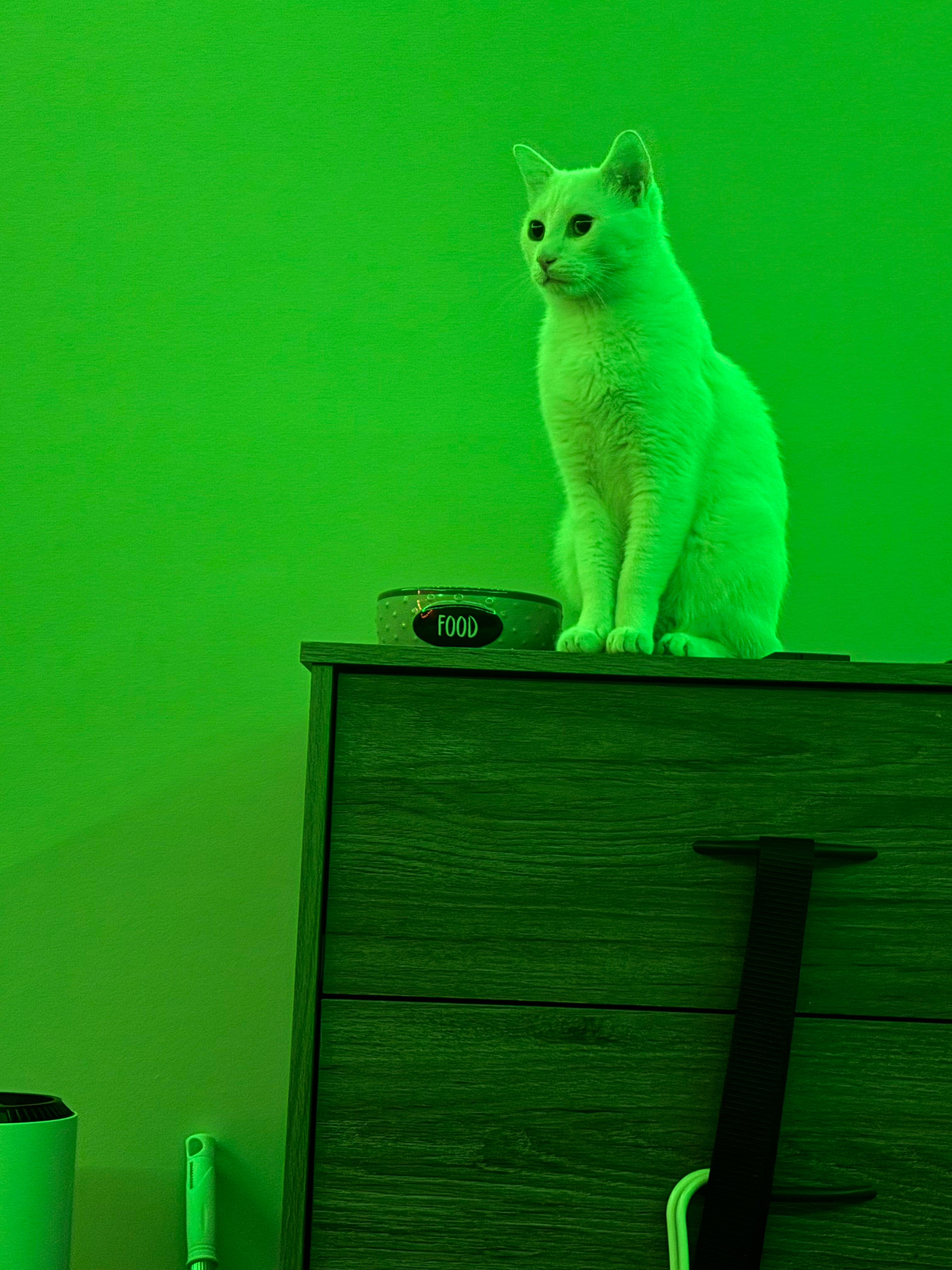 user avatar image for Faux