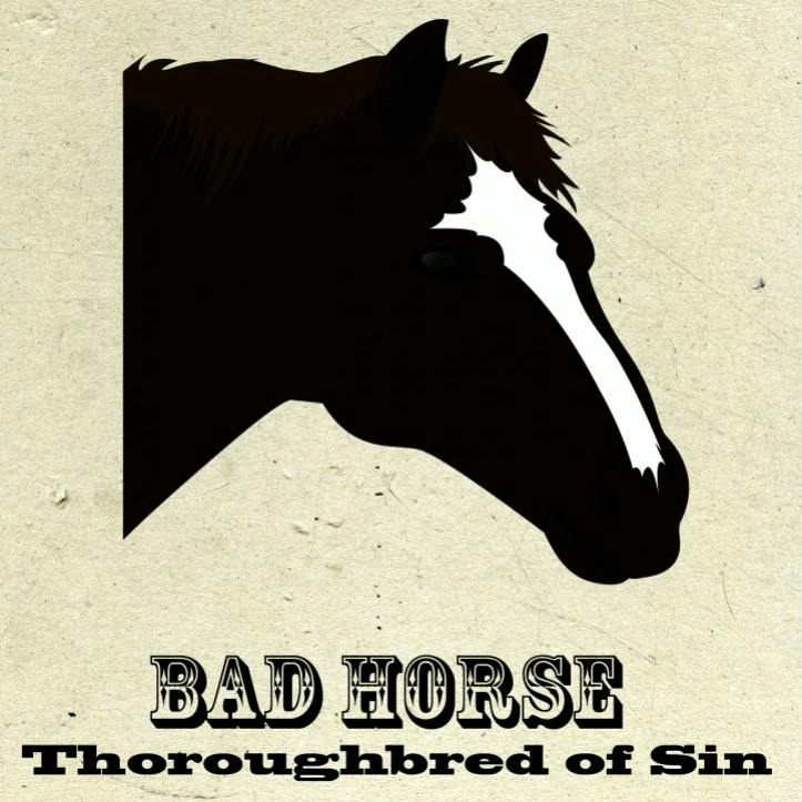 user avatar image for Bad Horse