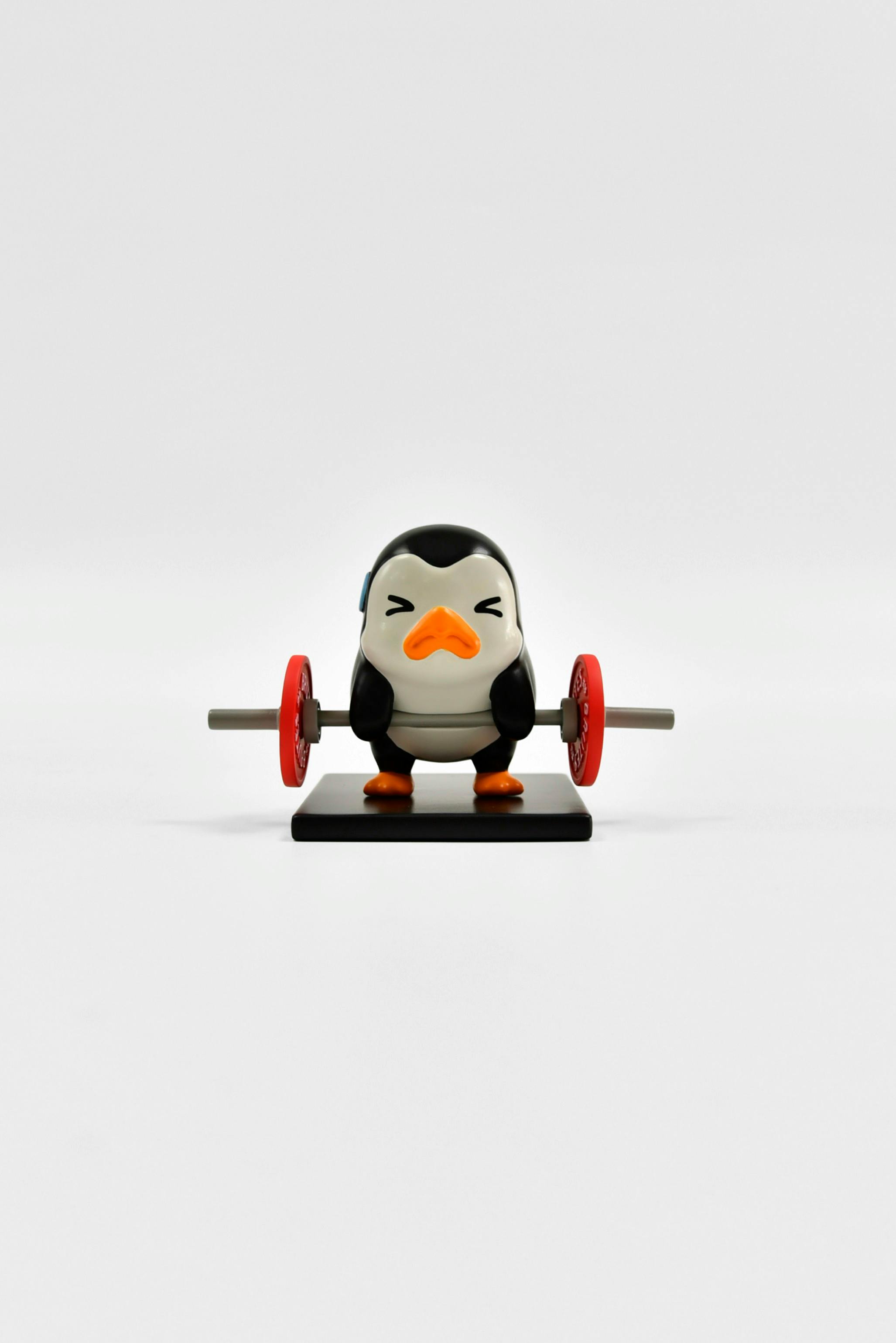 project cover image