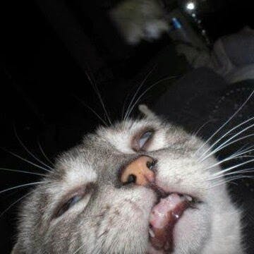 user avatar image for UbikRex 