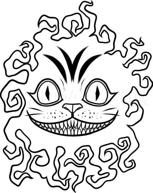 user avatar image for Mottmott