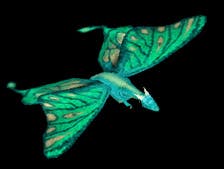 user avatar image for Kirsty