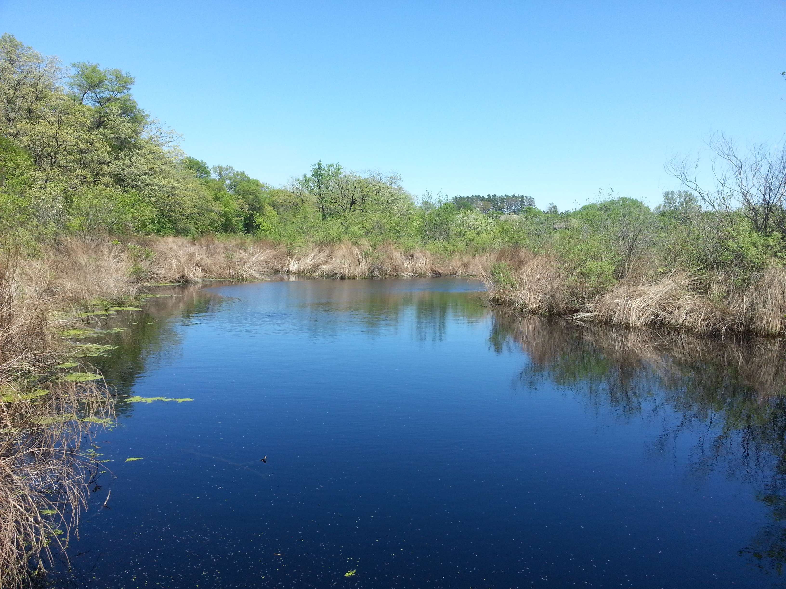 user avatar image for Josh Havens