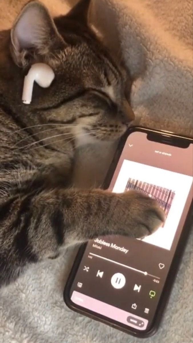 user avatar image for dissolve