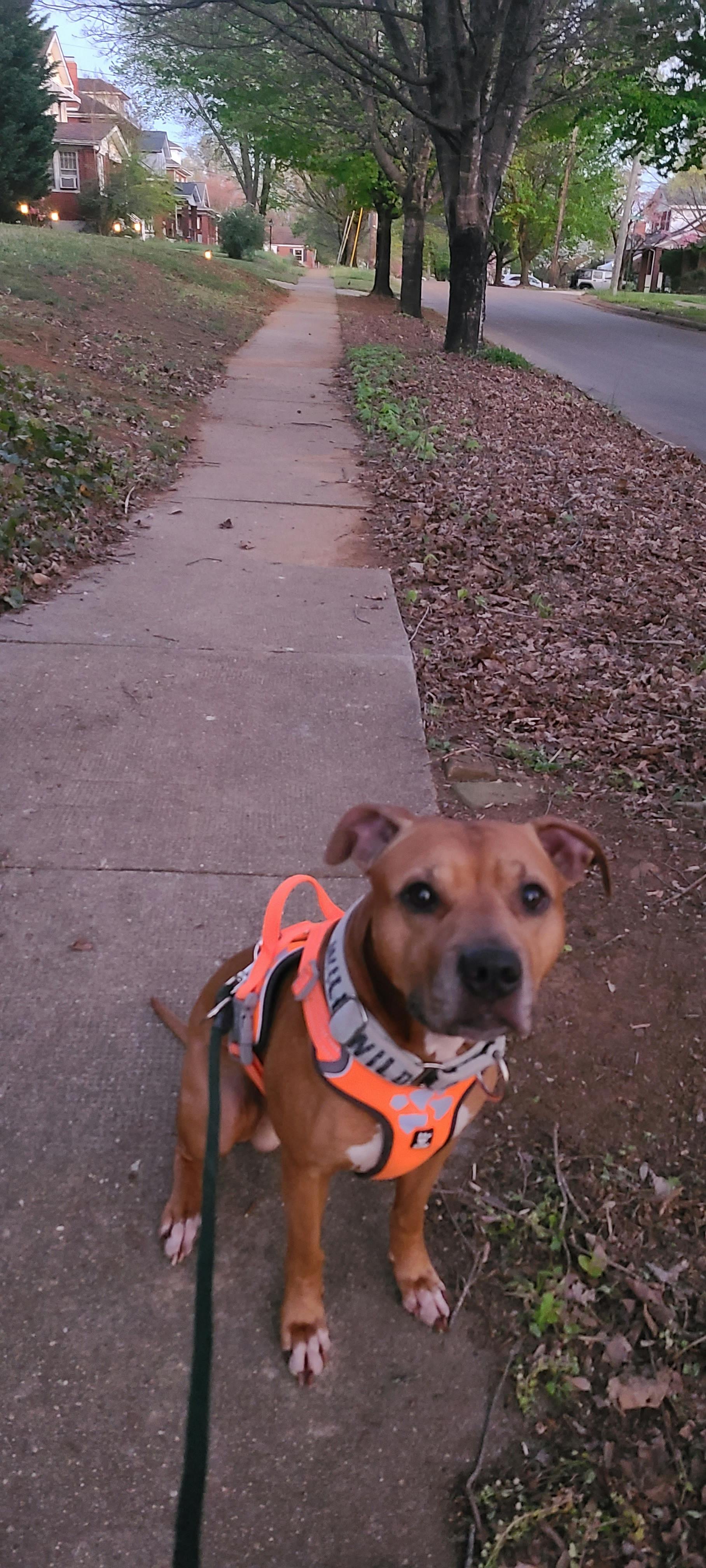 user avatar image for Stephy Wolf