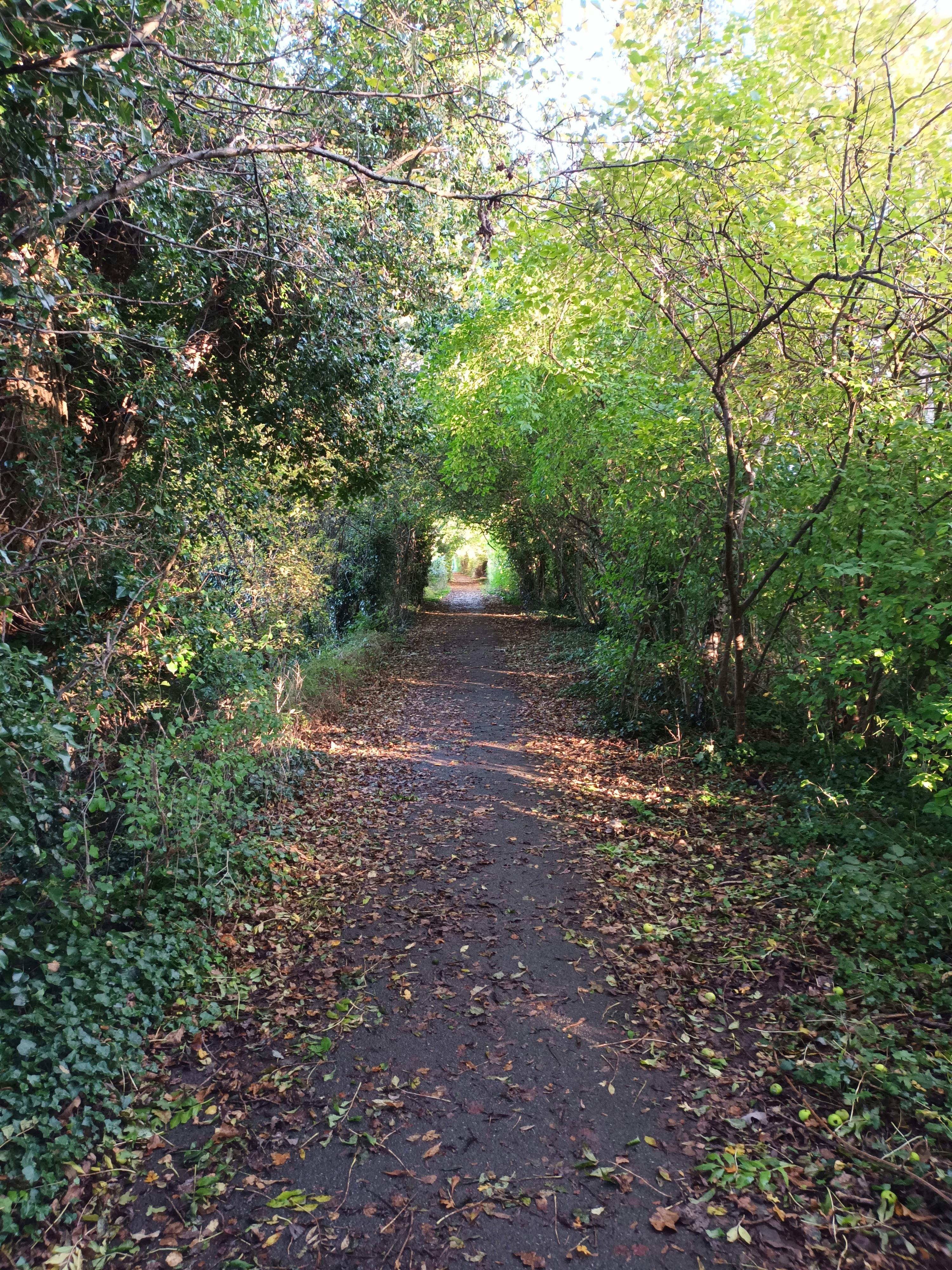 user avatar image for Owen 