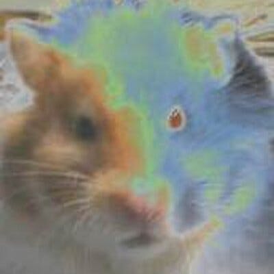 user avatar image for Hamstertron