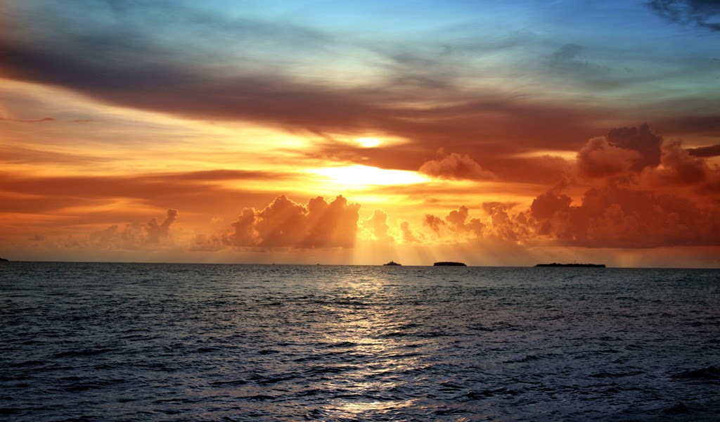 user avatar image for Taineer