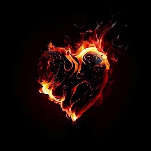 user avatar image for Adam