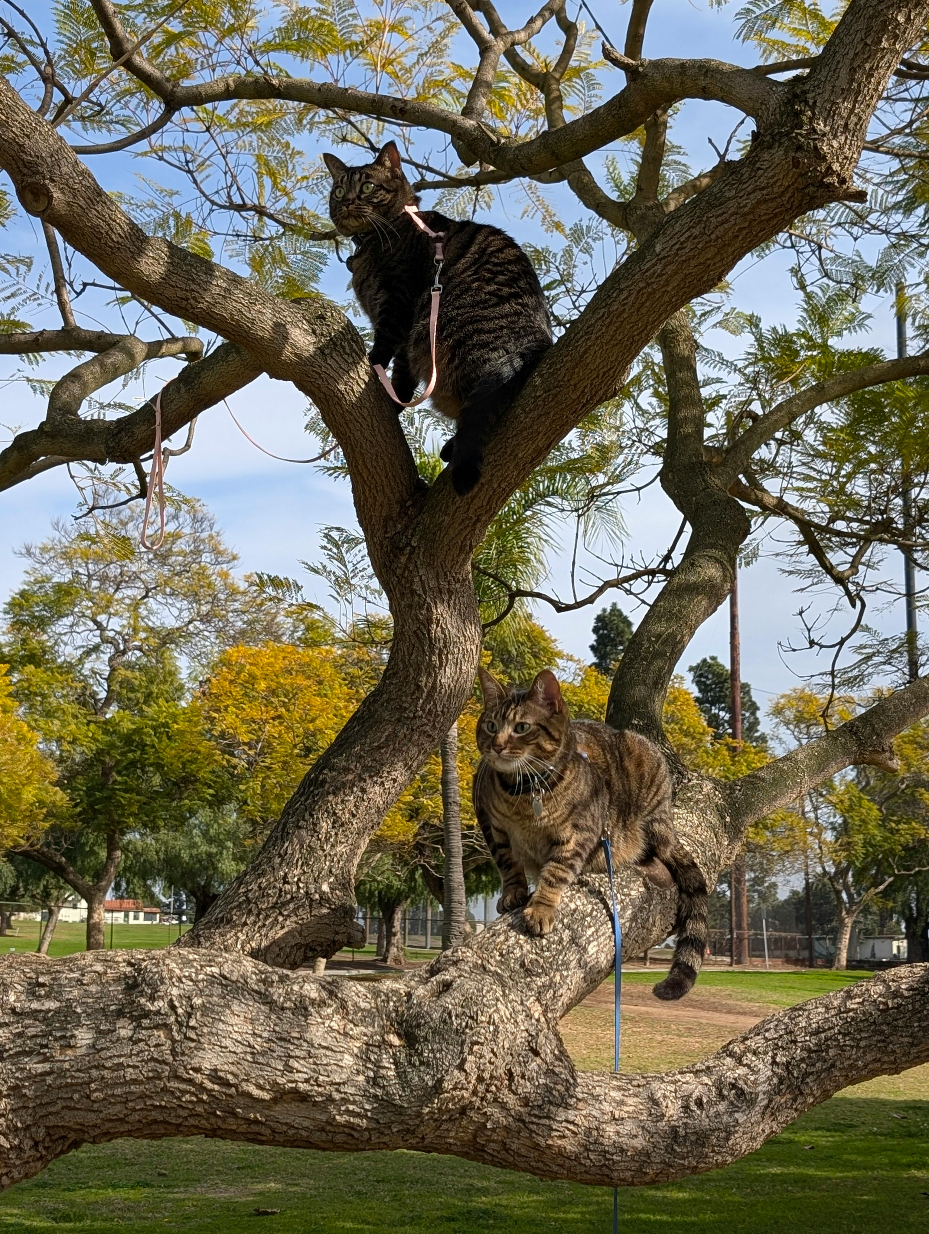 user avatar image for Kelsey Larsen 