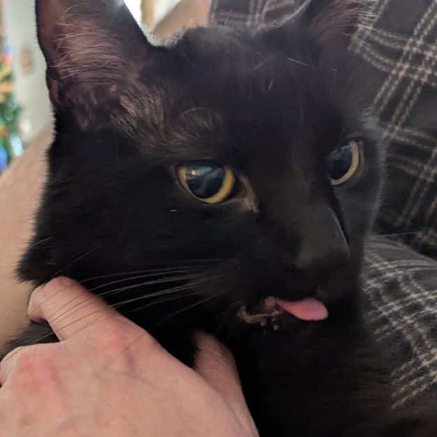 user avatar image for William Jameson