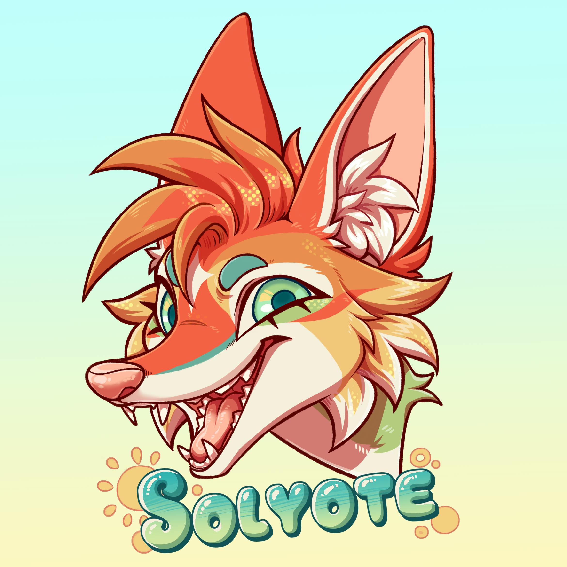 user avatar image for Solyote