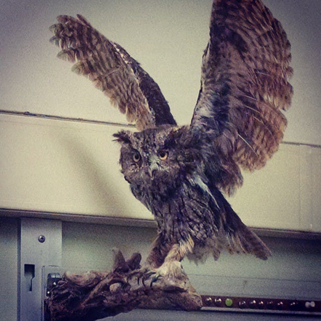 user avatar image for Max Whittier