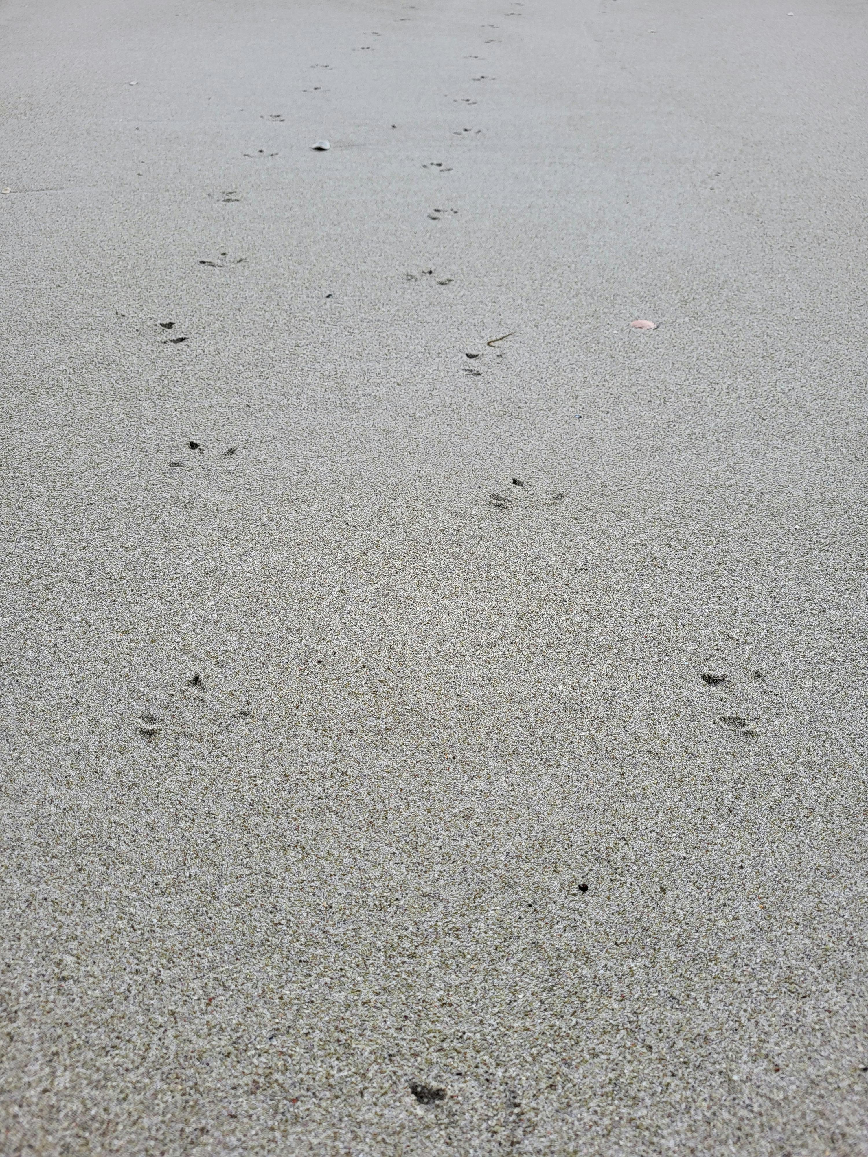 user avatar image for Anonymous Cardinal #2014749