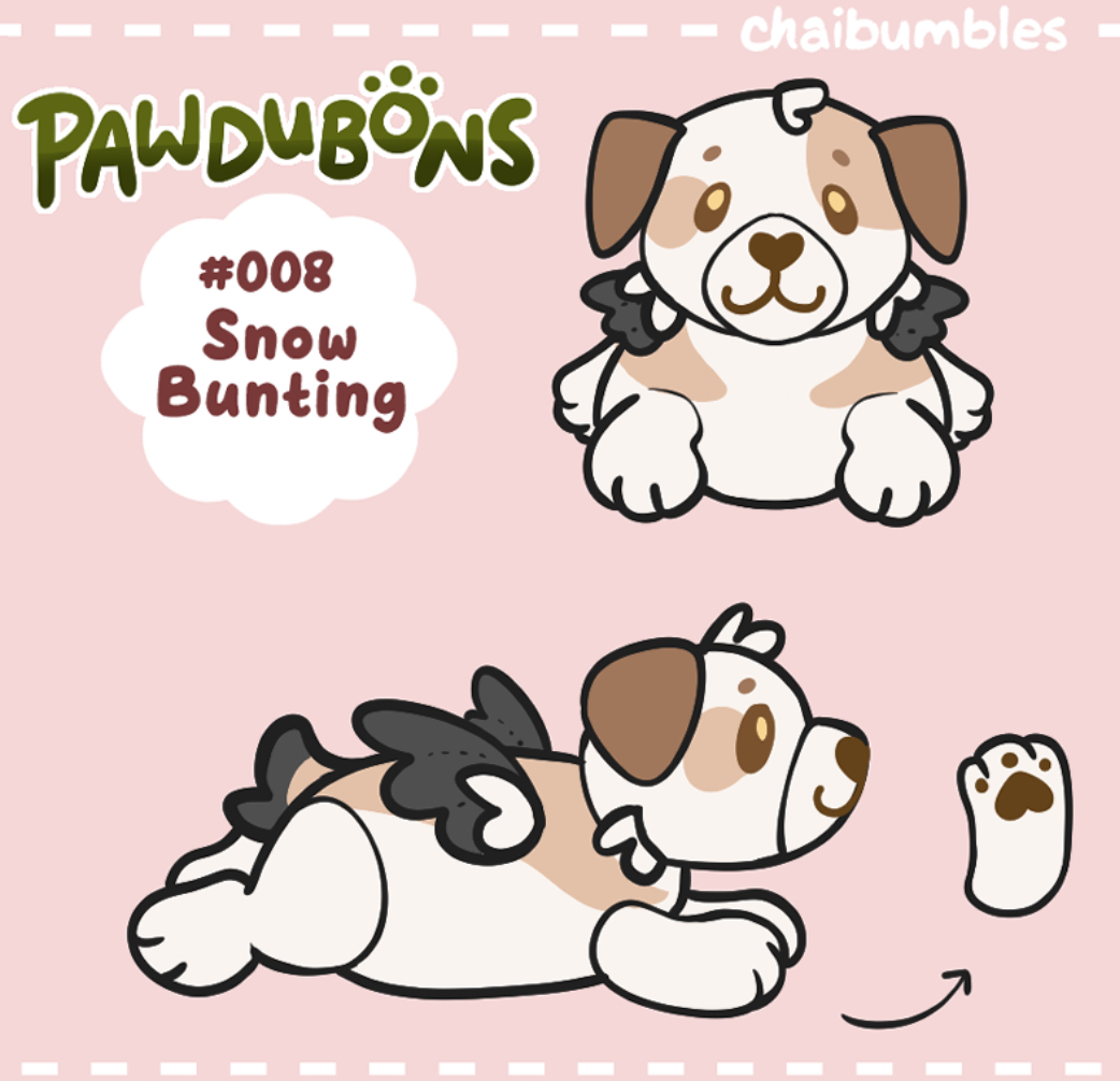 Chai the Snow Bunting Puppy