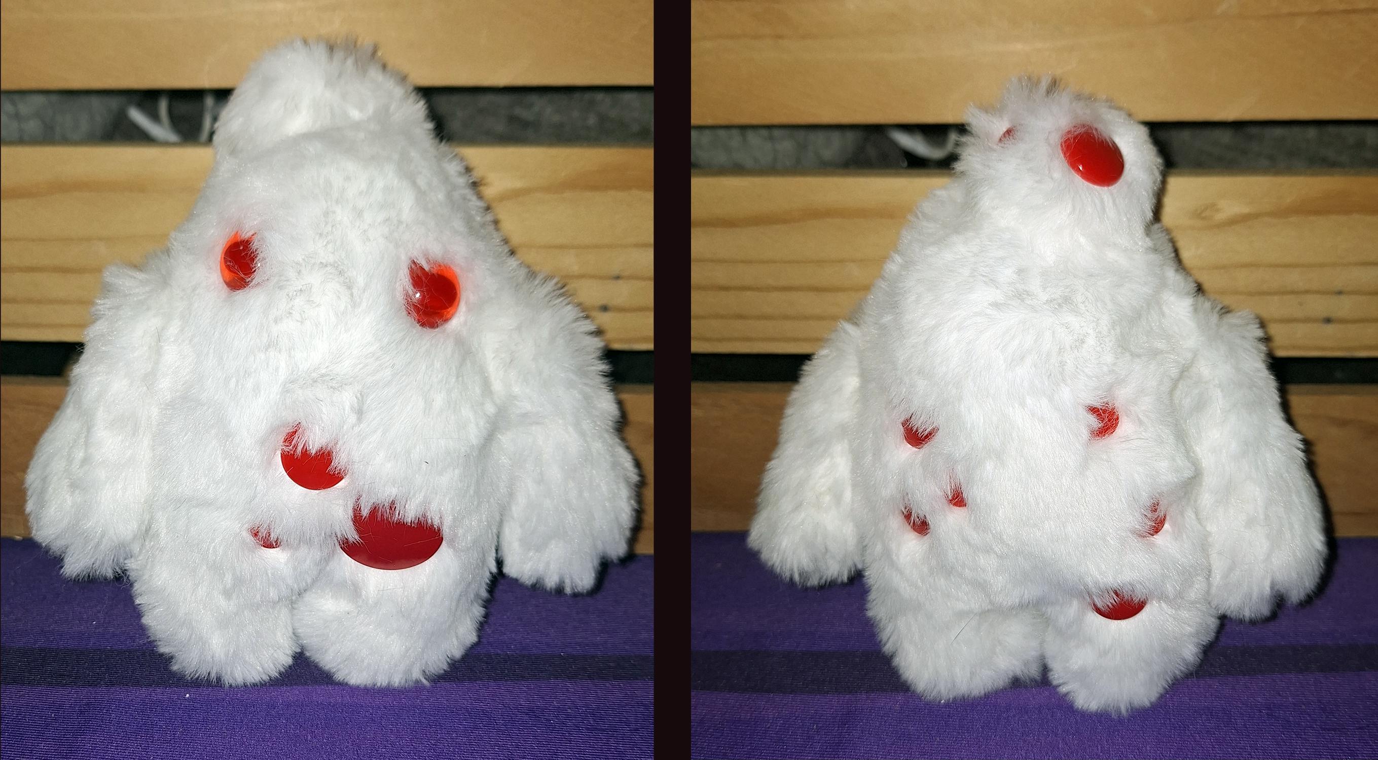 Bleeding Tooth Mushroom Mandrake - Small Size