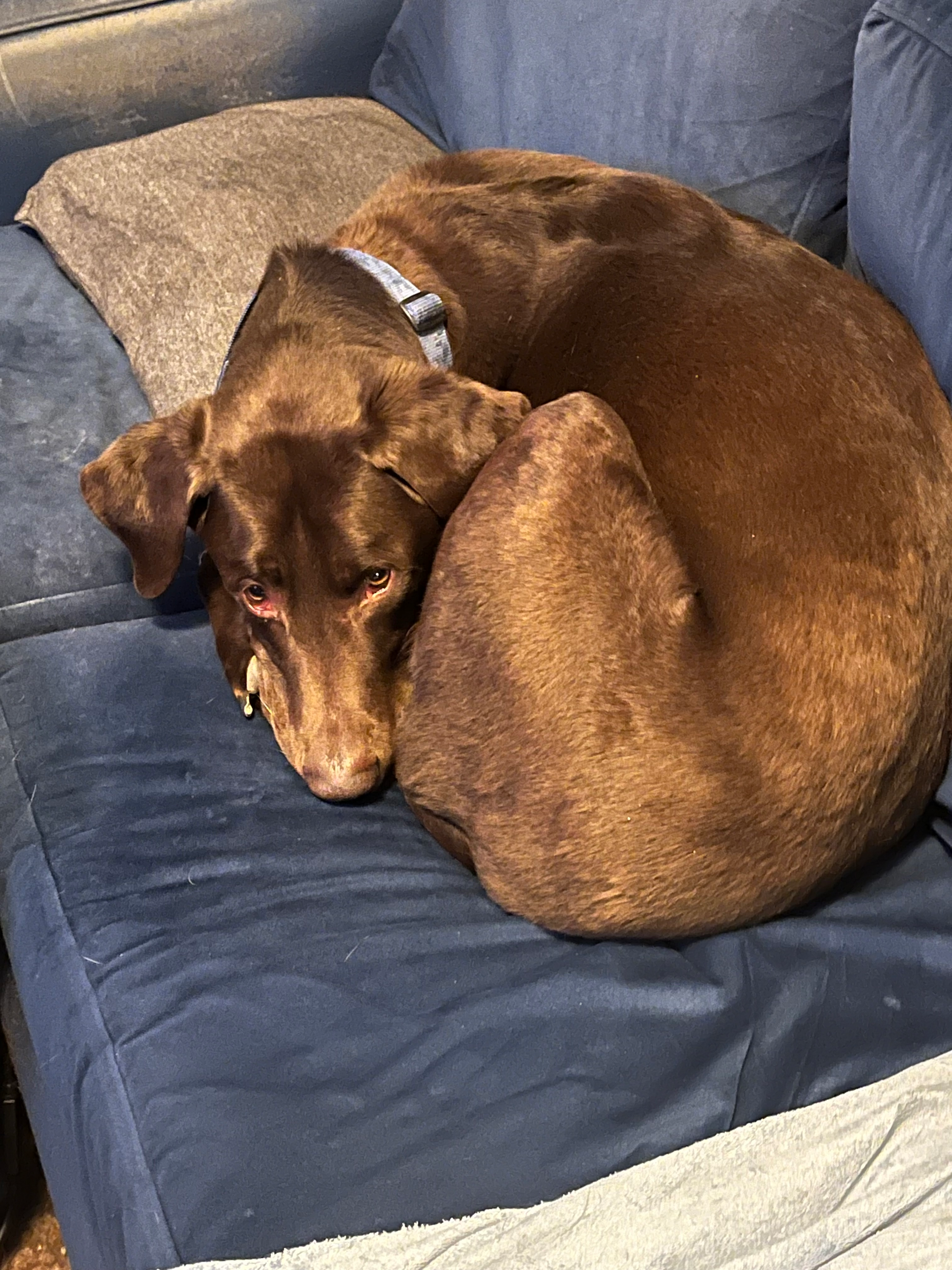 user avatar image for Kyle Anglin