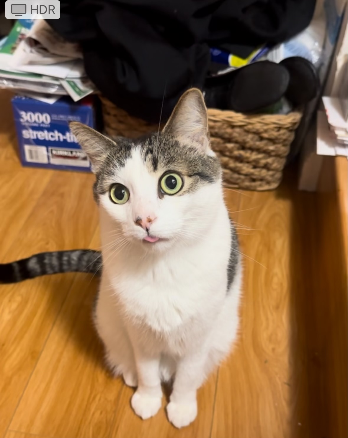 user avatar image for Joey