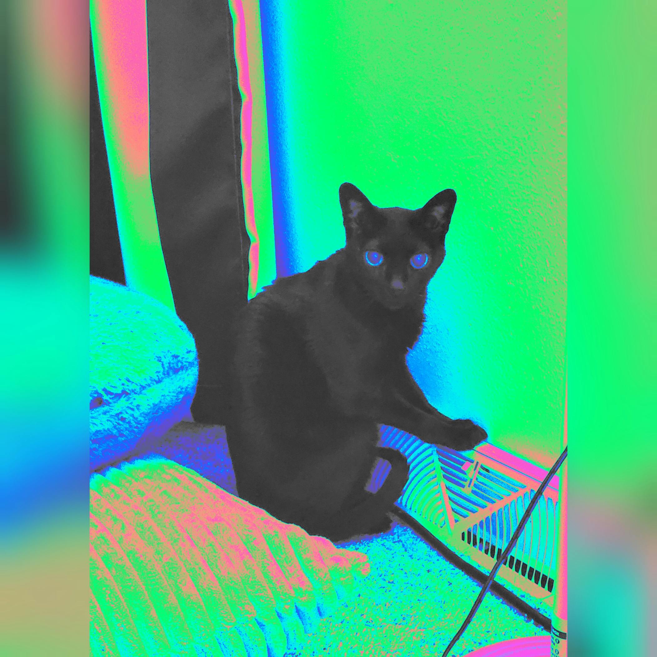 user avatar image for Jessica s