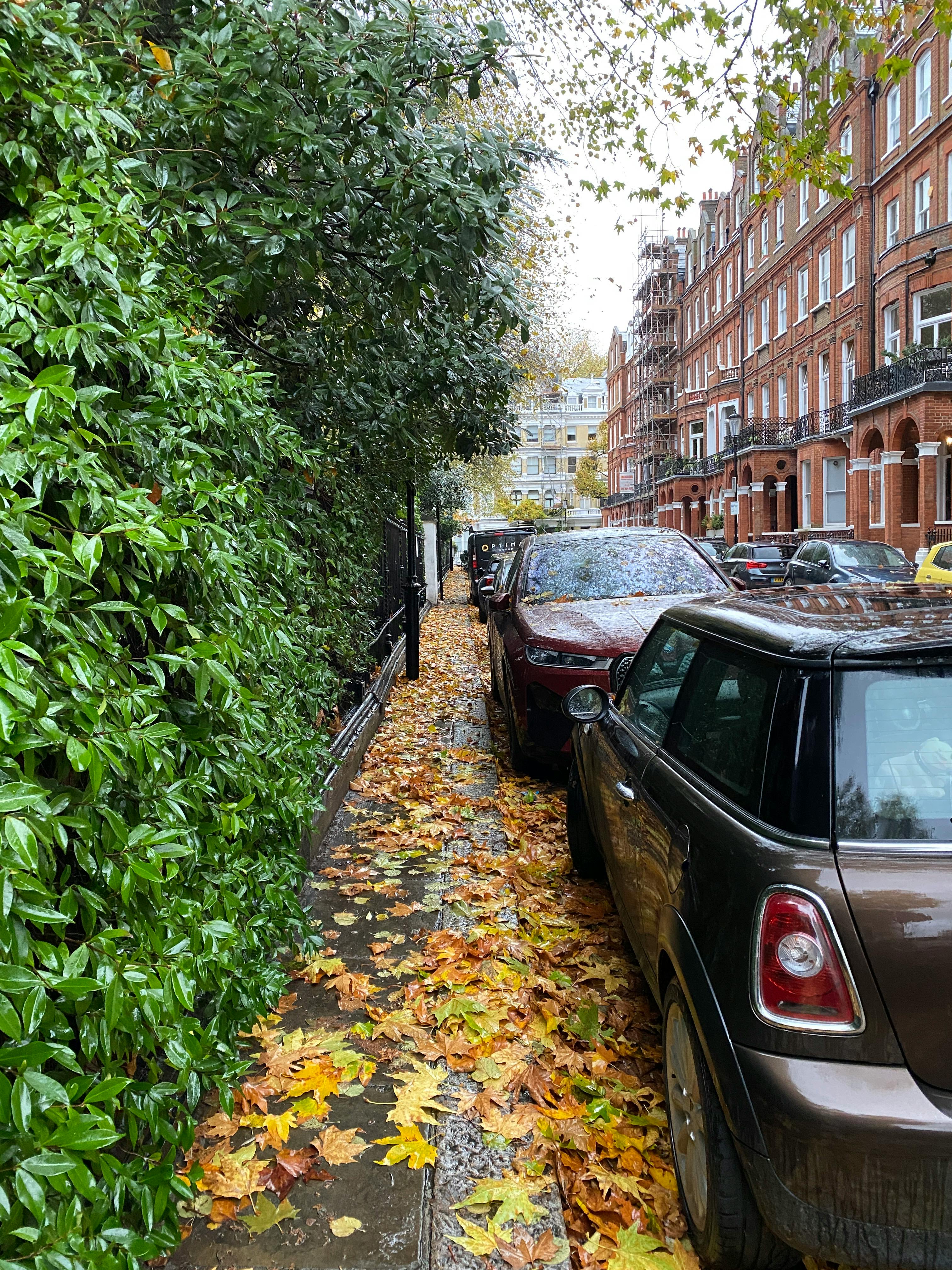 user avatar image for Nick D