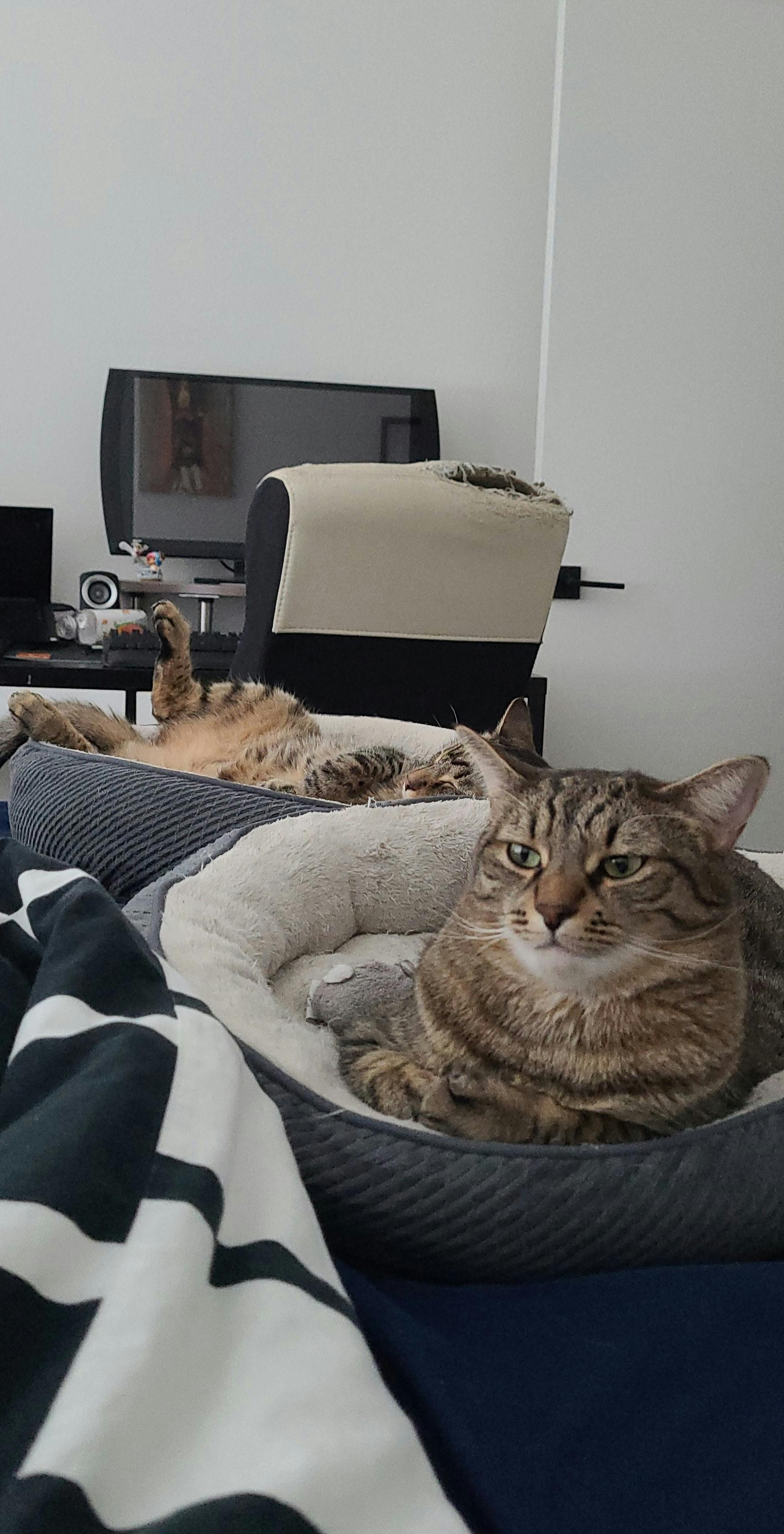 user avatar image for keith峰