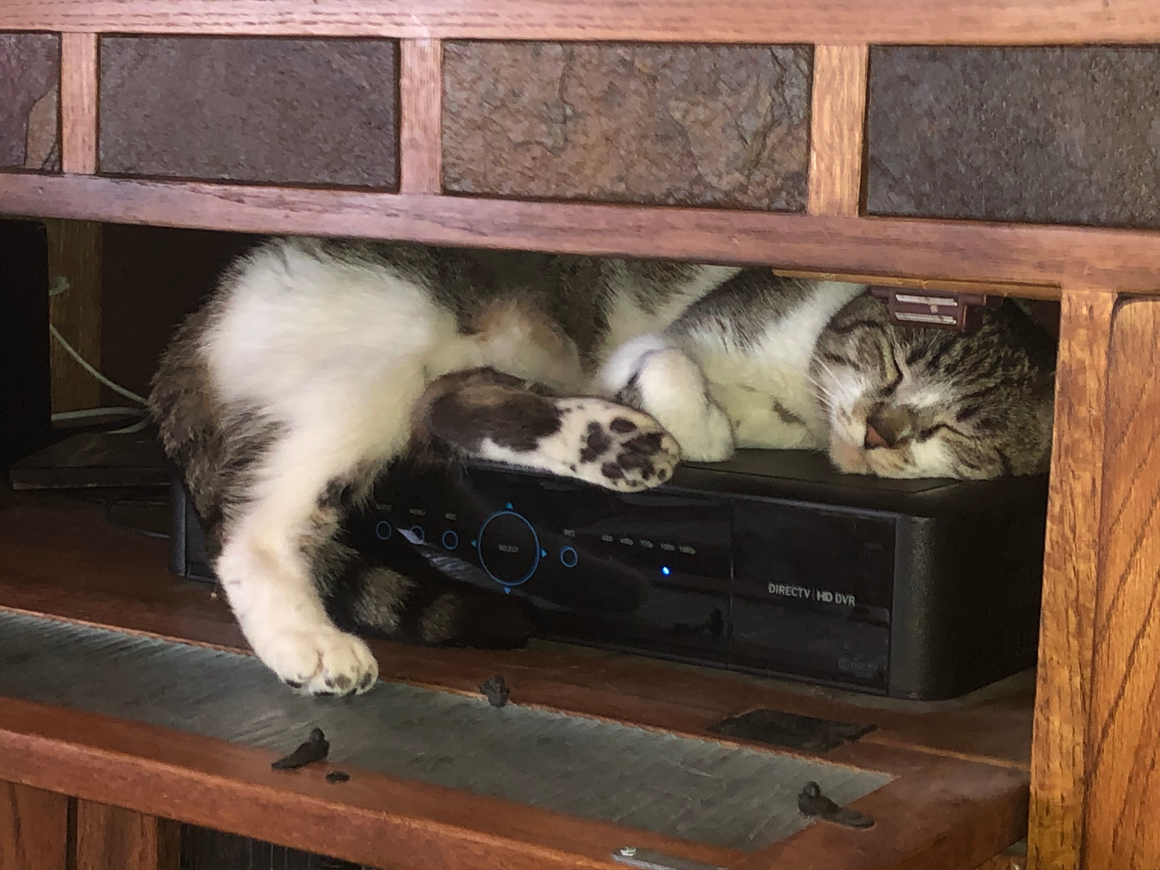 user avatar image for AMothNamedMoth