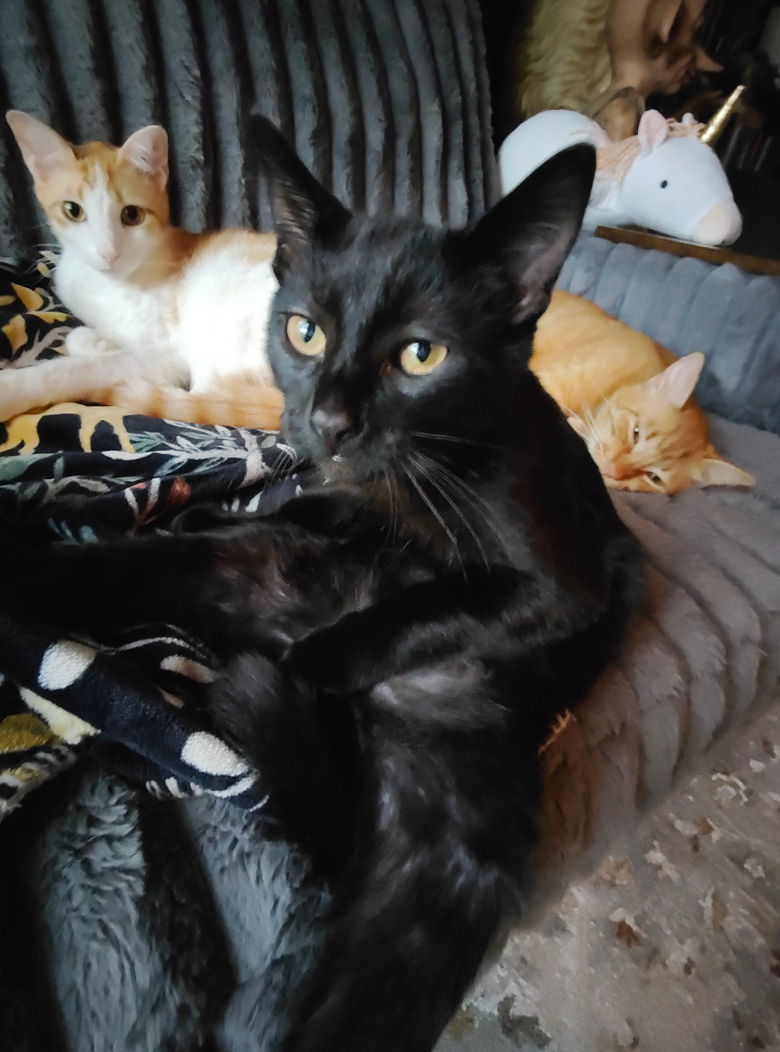 user avatar image for Andy_Sipowitz