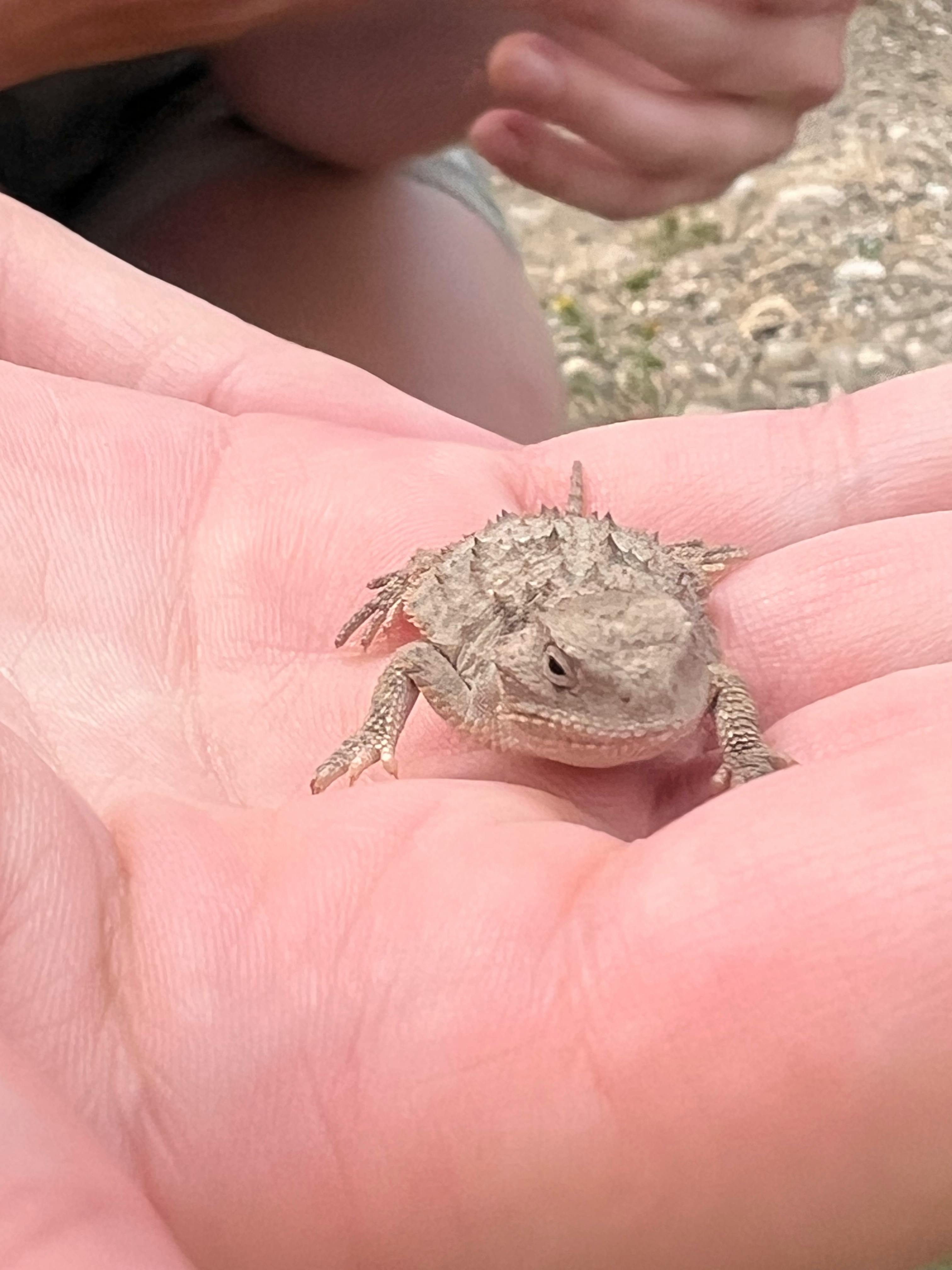 user avatar image for Kara