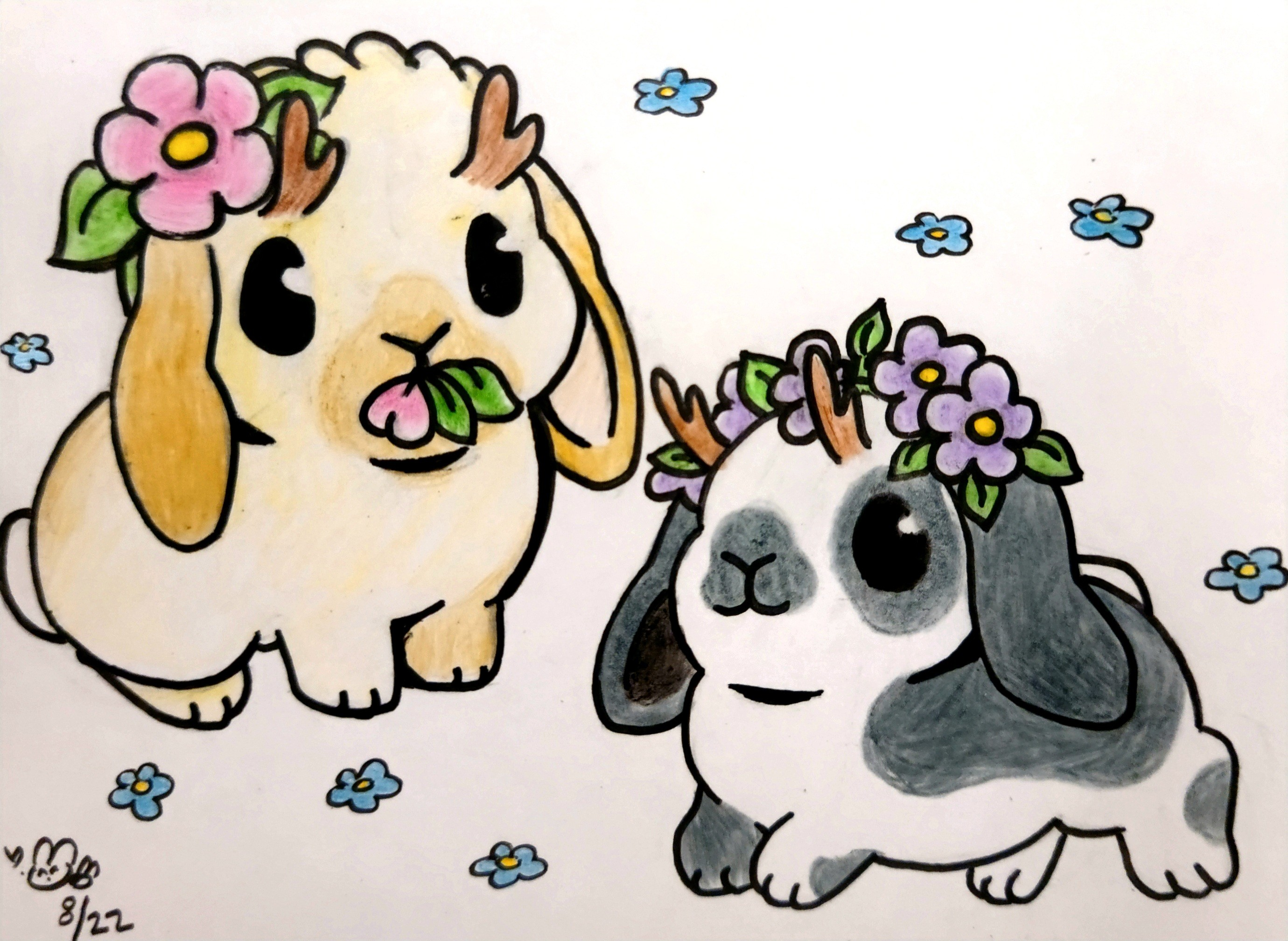 user avatar image for Bunny
