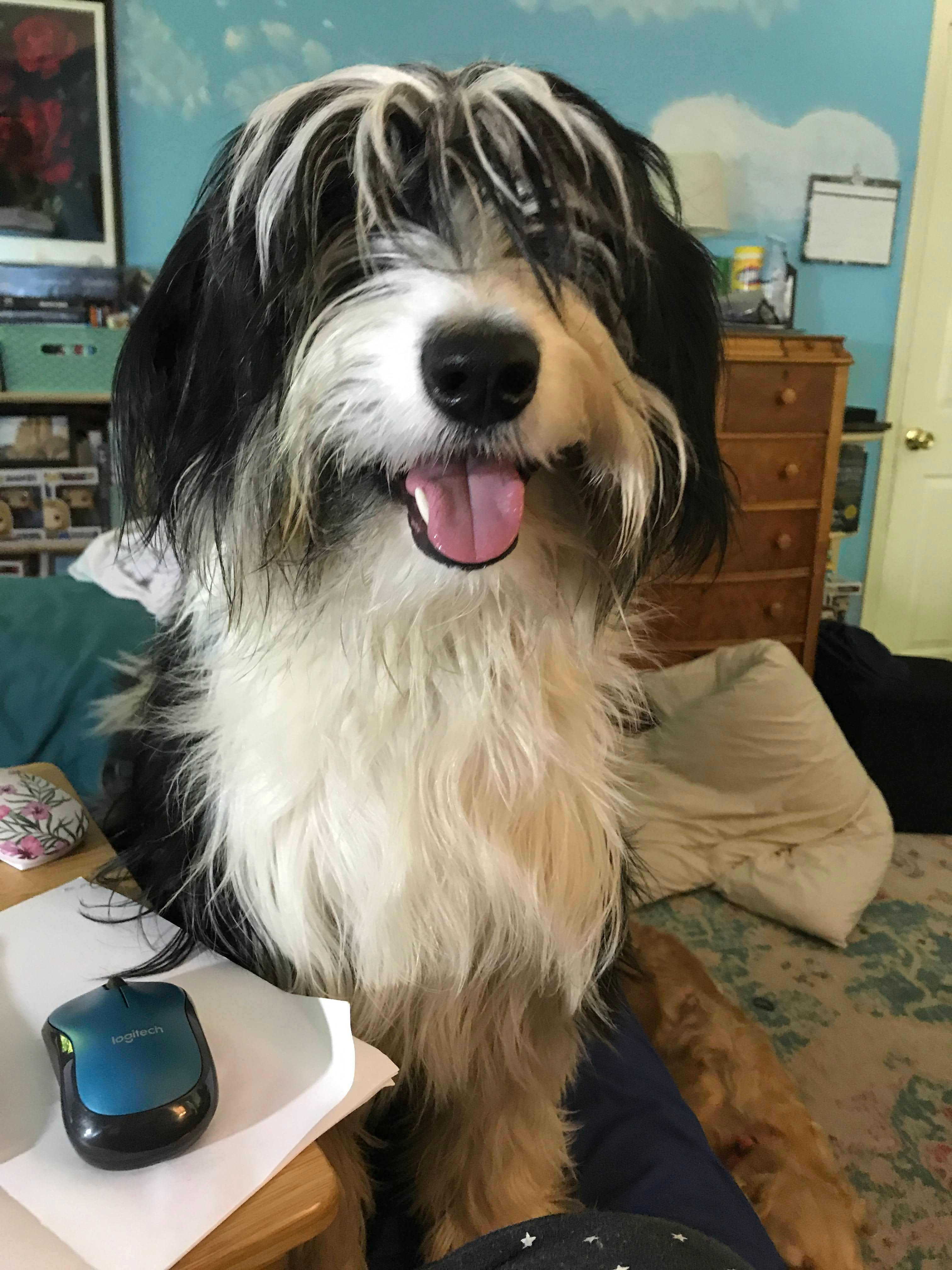 user avatar image for Courtney