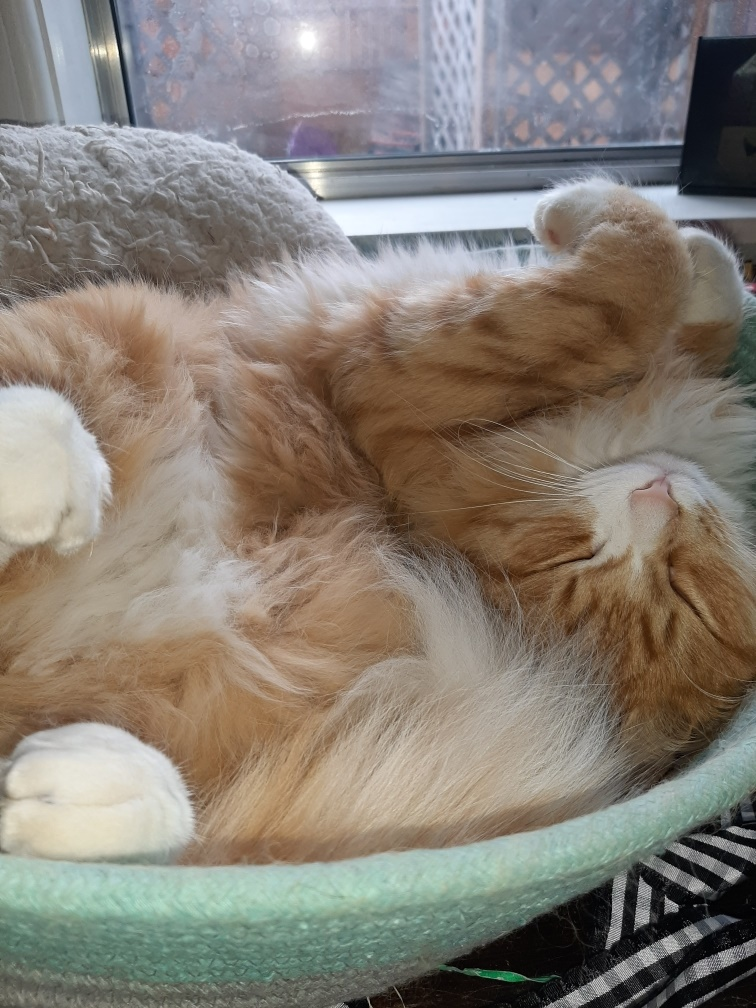 user avatar image for Cate T