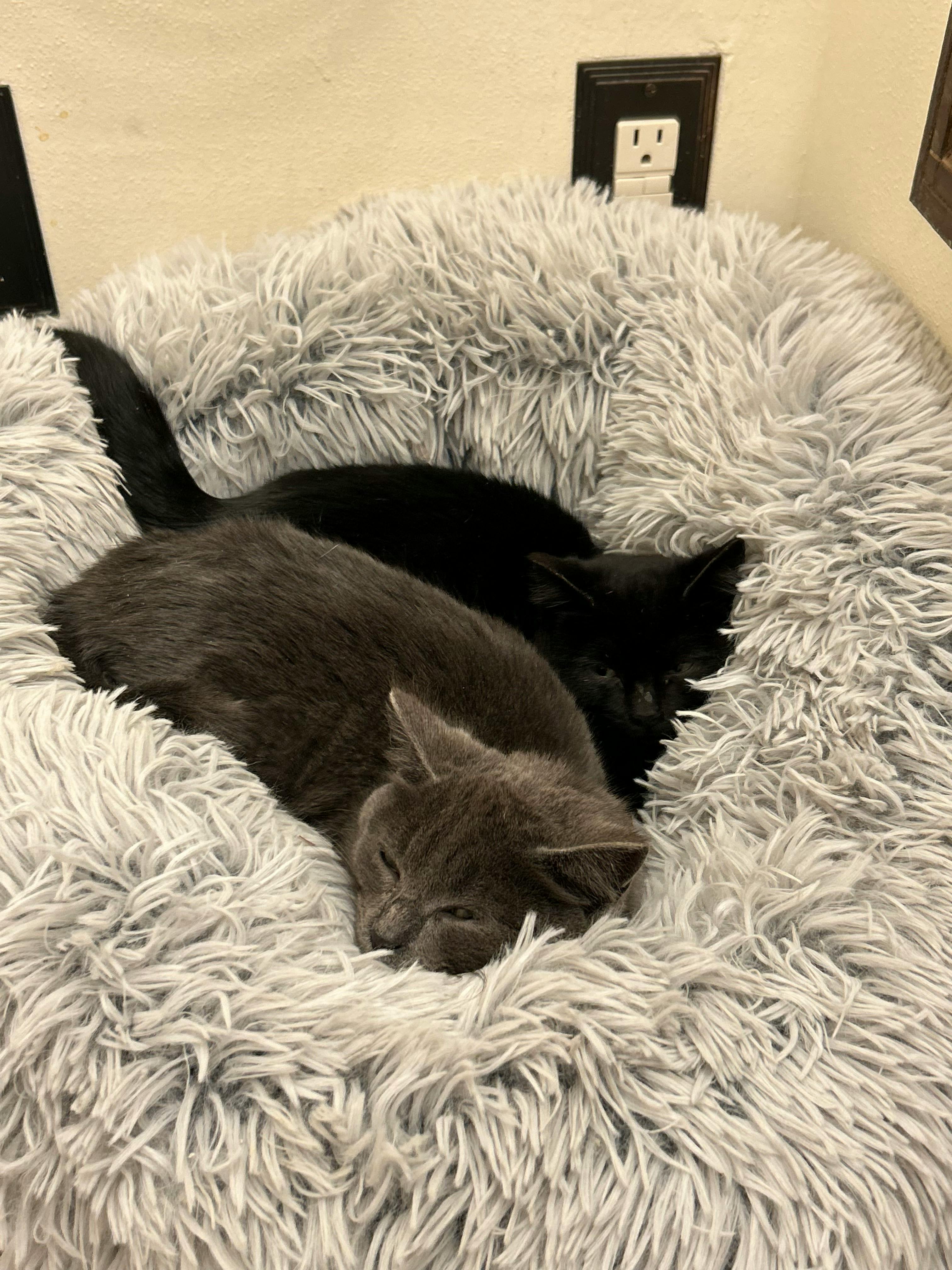 user avatar image for Tanya H