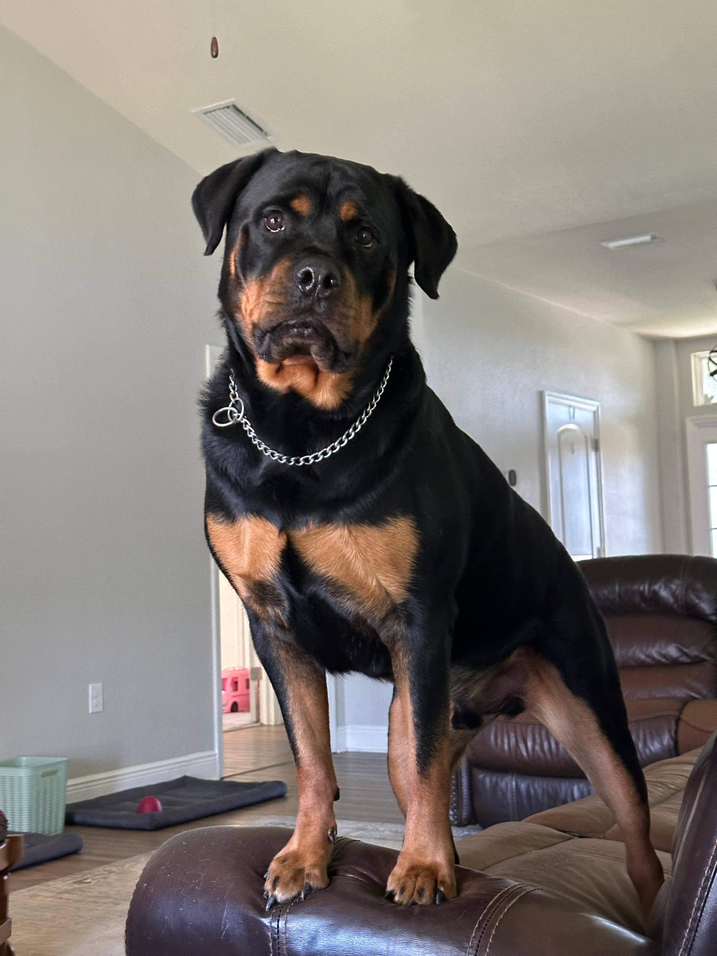 user avatar image for Josh