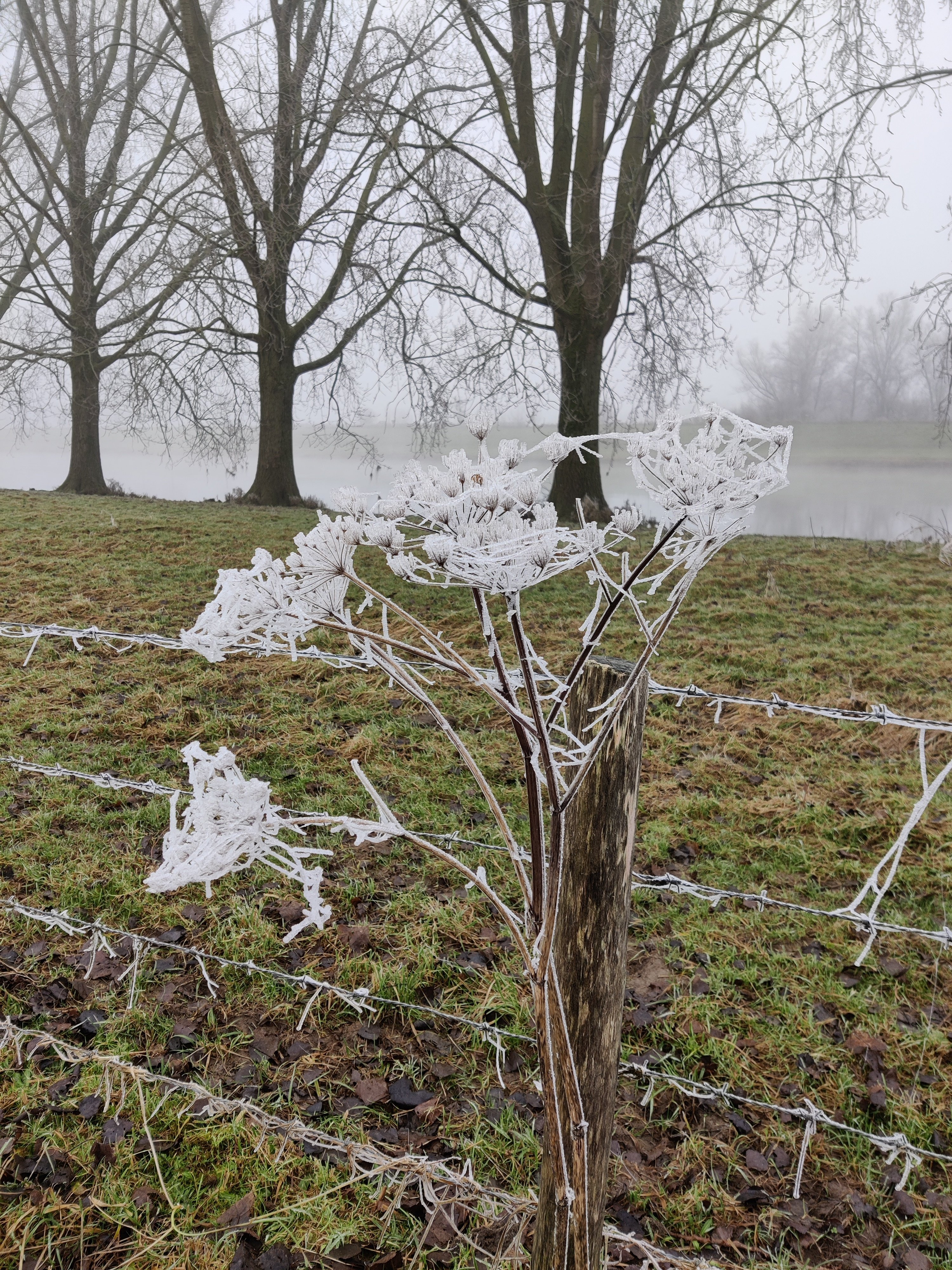 user avatar image for Jelka