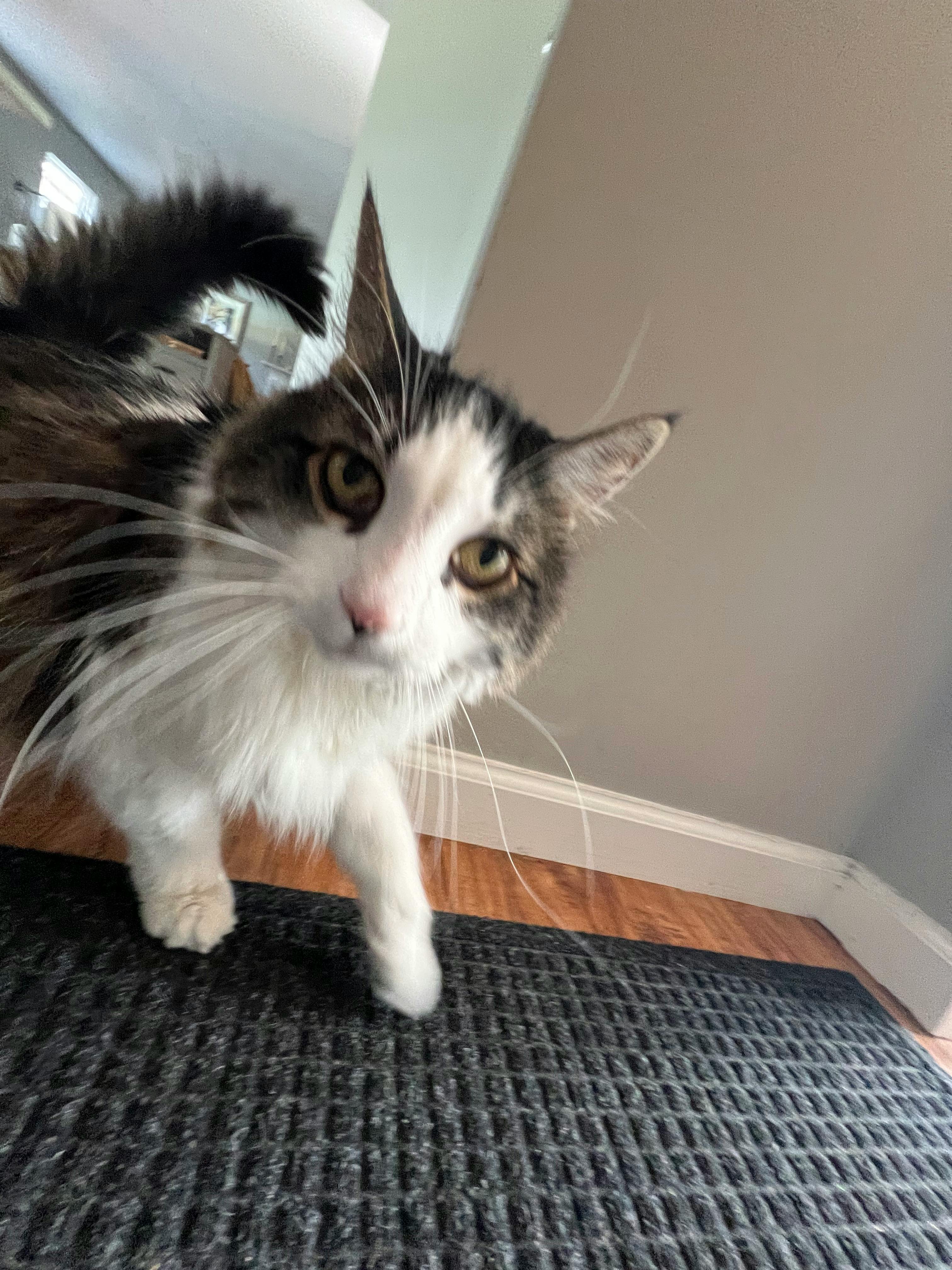 user avatar image for JuniperFops